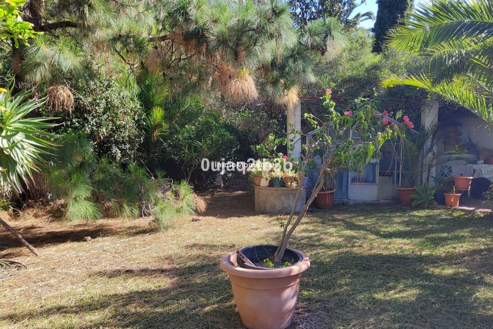 Revente - Maison de campagne - Mijas - Mijas Centro