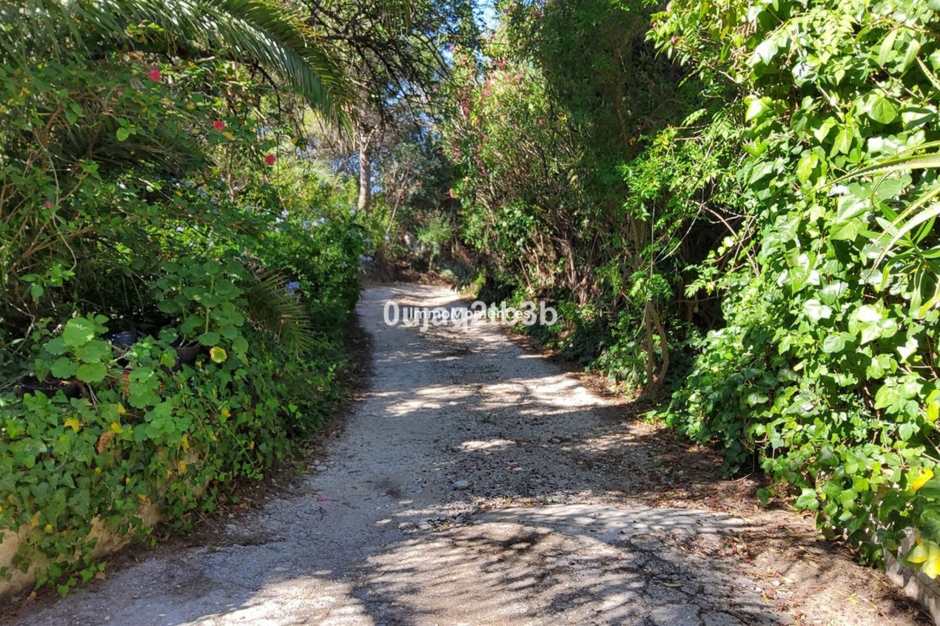 Revente - Maison de campagne - Mijas - Mijas Centro