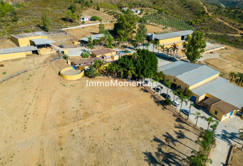 Revente - Maison de campagne - Mijas - Mijas Costa