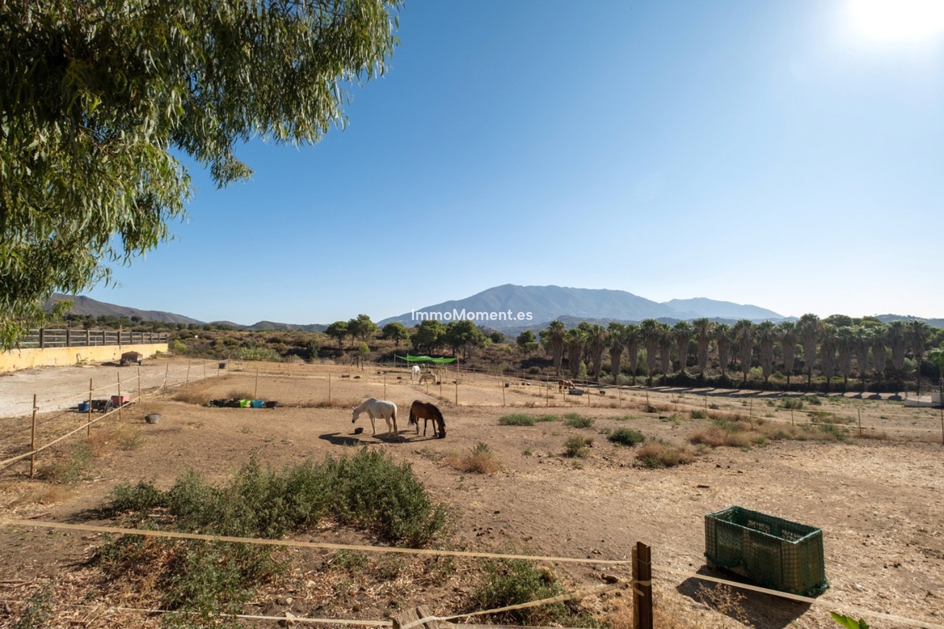 Revente - Maison de campagne - Mijas - Mijas Costa