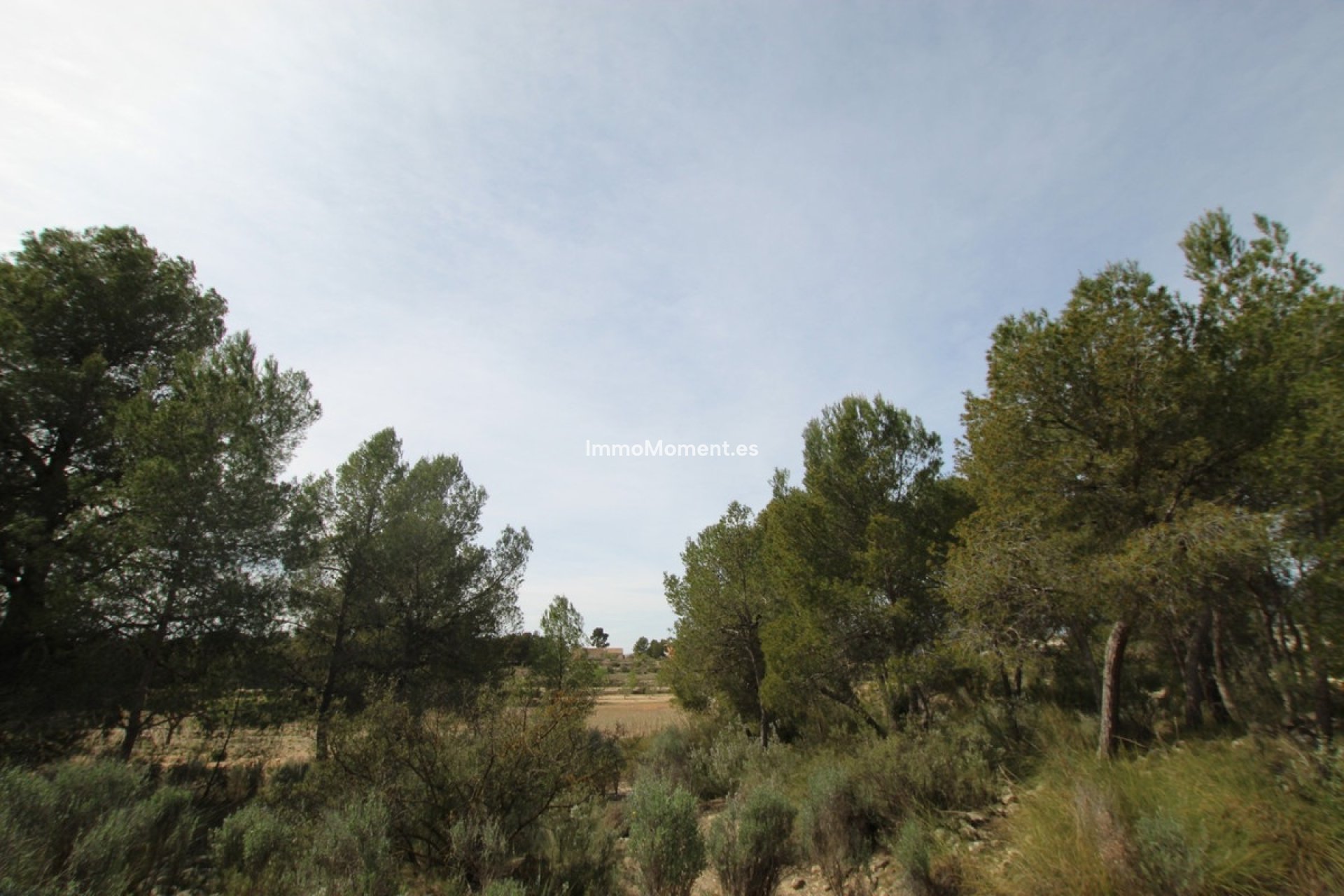 Revente - Maison de campagne - Monóvar - Monòver - Monóvar - Monòver Centro