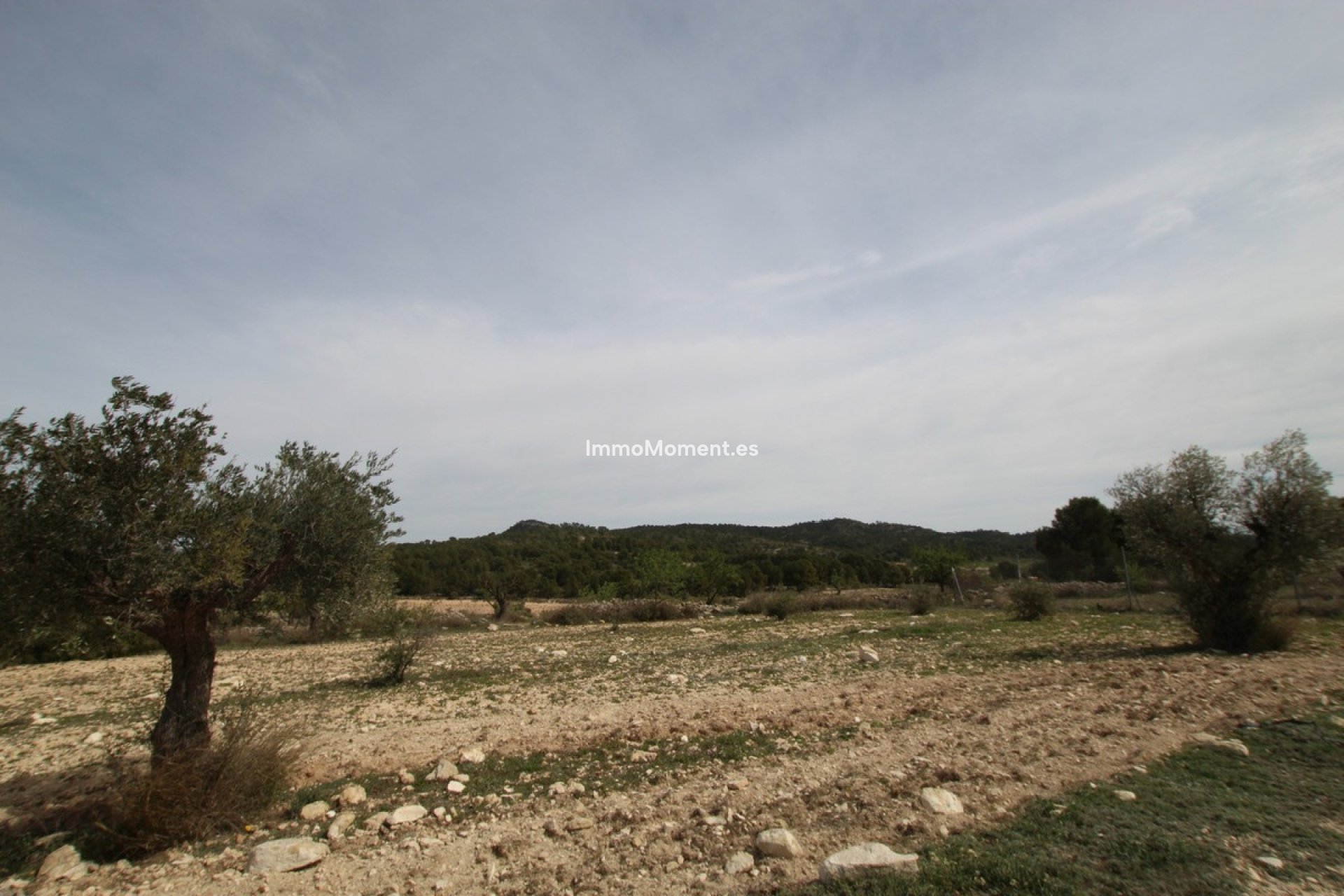 Revente - Maison de campagne - Monóvar - Monòver - Monóvar - Monòver Centro