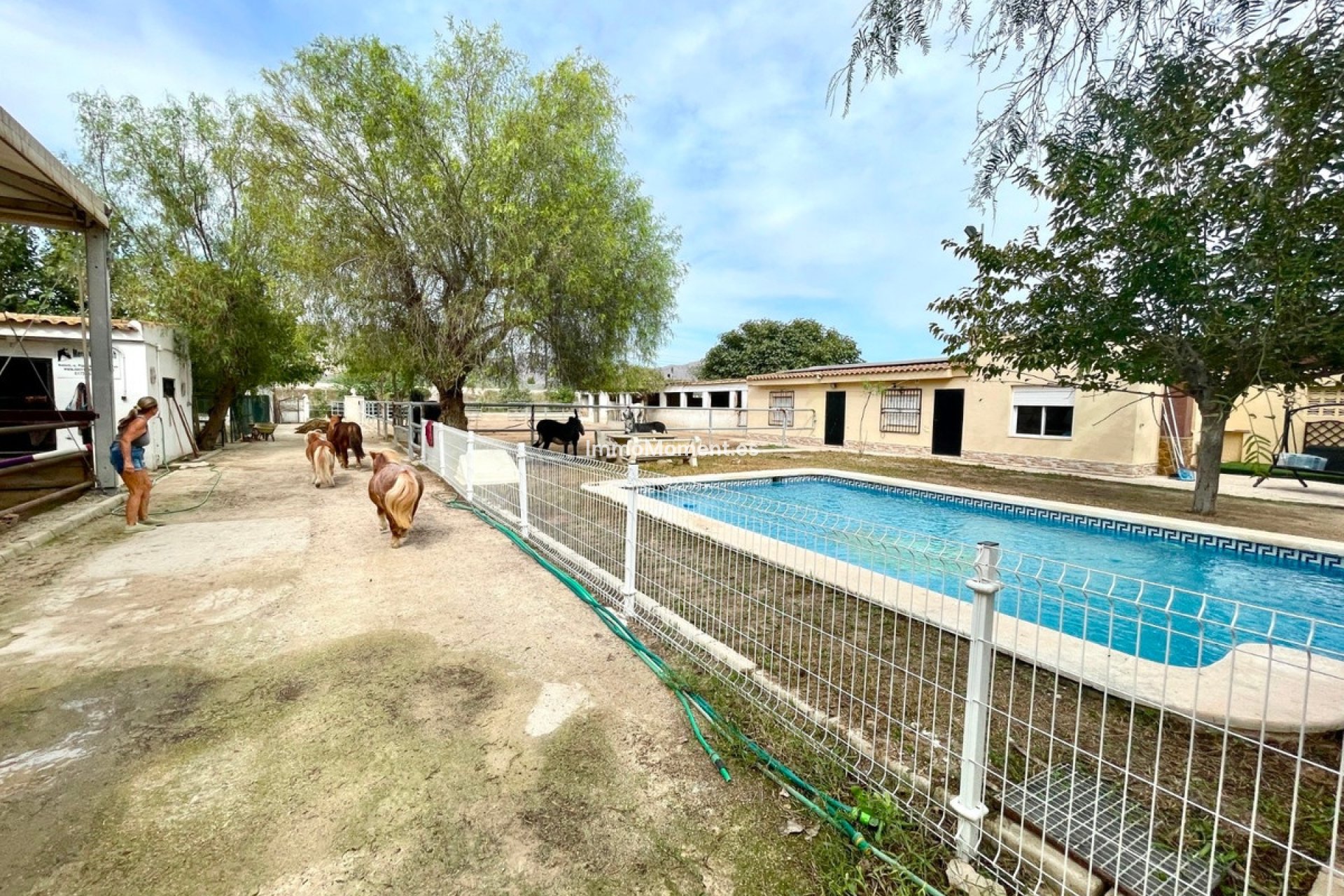 Revente - Maison de campagne - Orihuela - Orihuela Centro