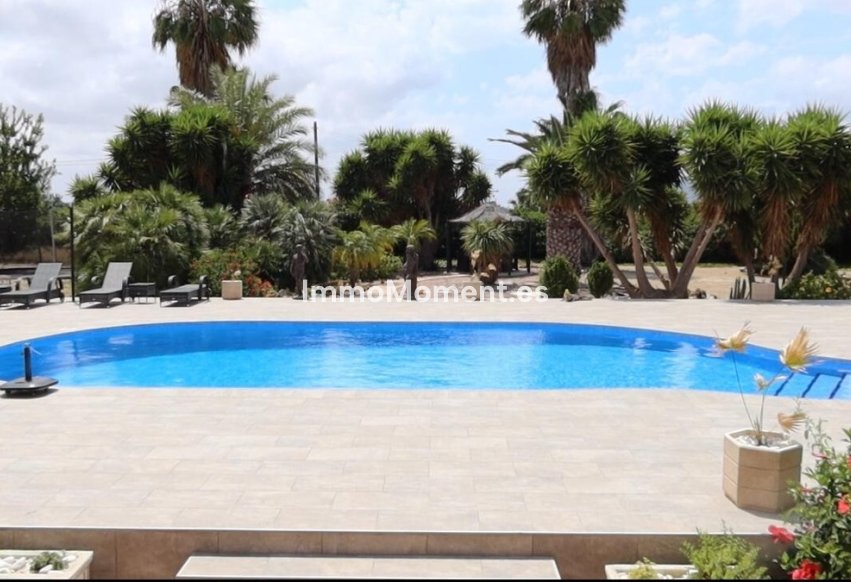 Revente - Maison de campagne - Orihuela - Orihuela Centro