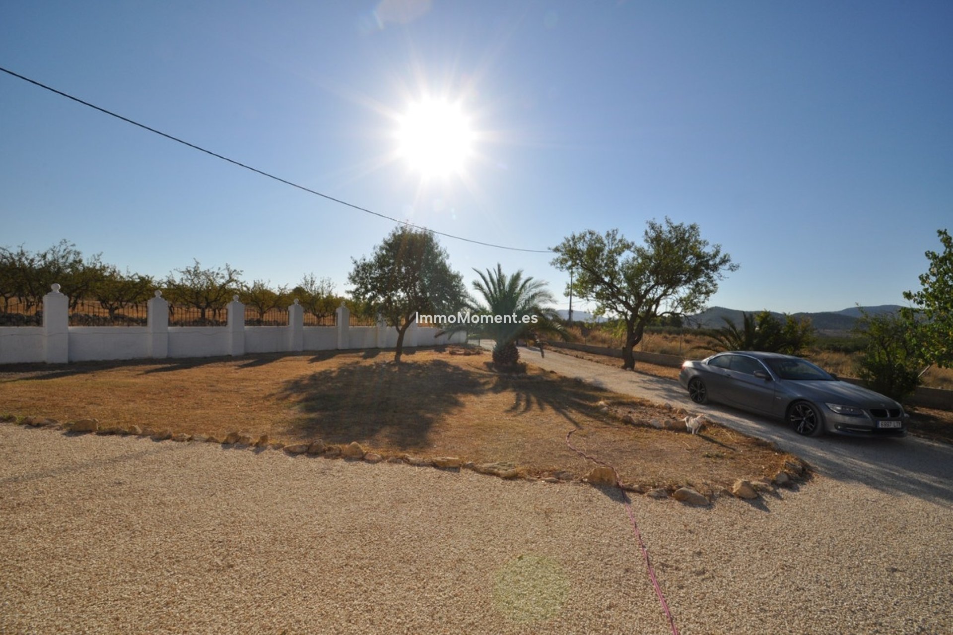 Revente - Maison de campagne - Pinoso - Pinoso Centro