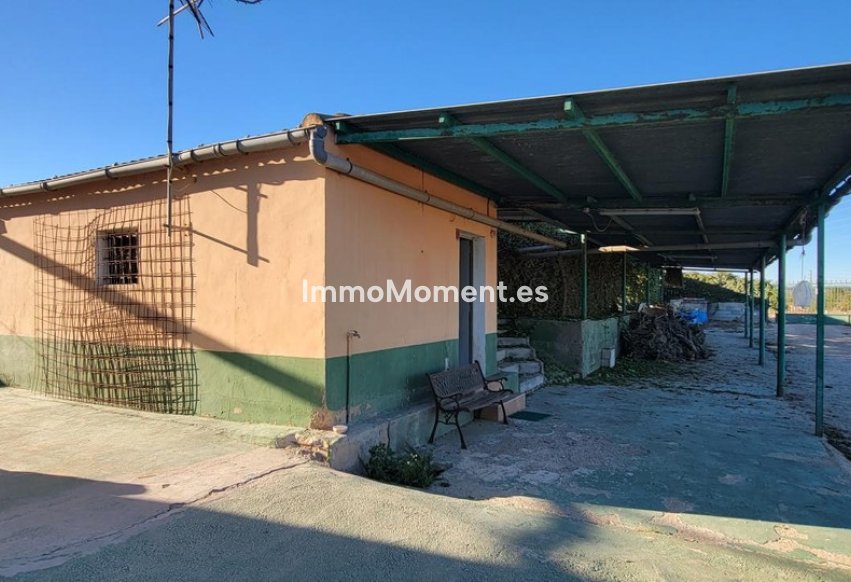 Revente - Maison de campagne - San Miguel de Salinas - San Miguel de Salinas Centro