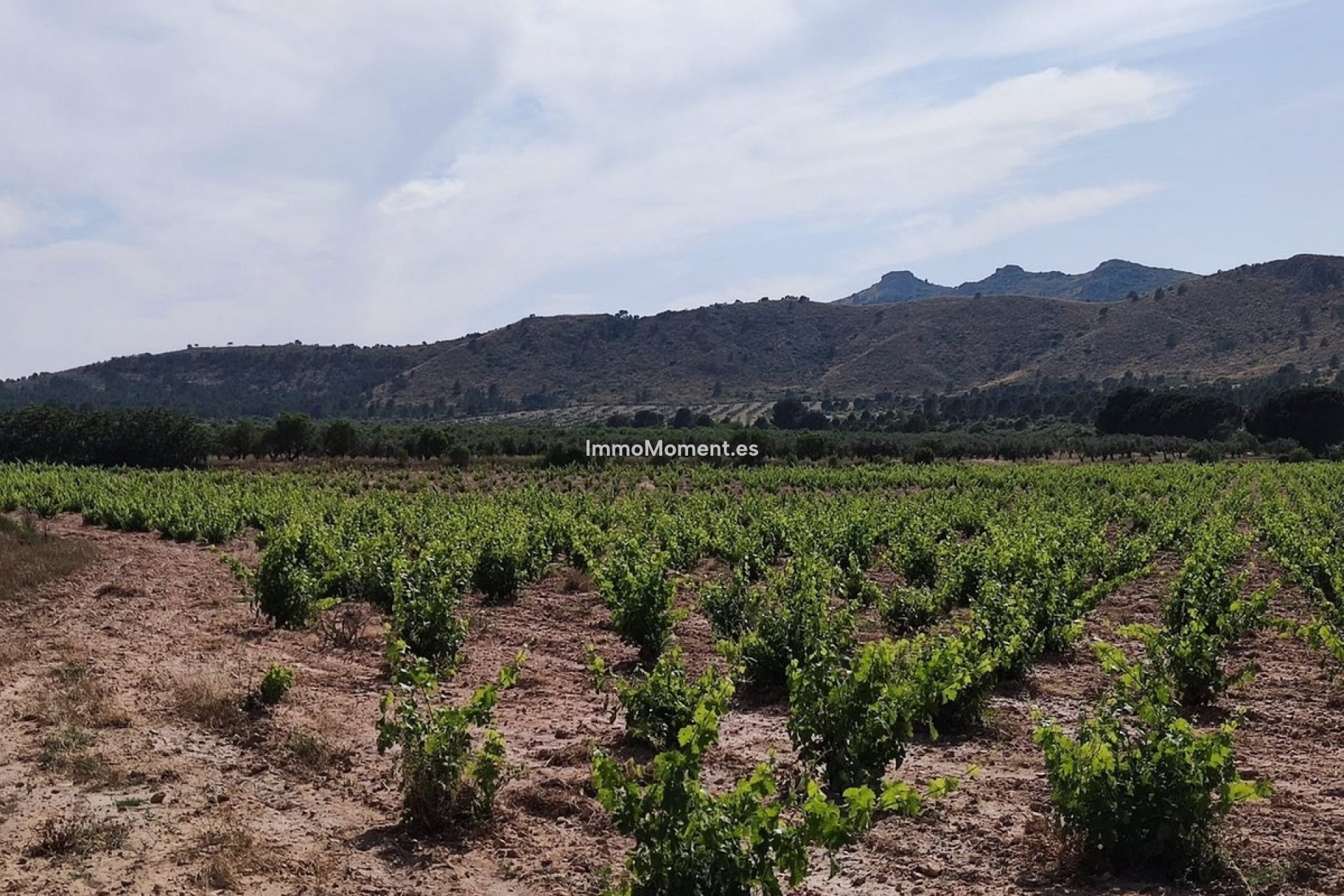 Revente - Maison de campagne - Yecla - Yecla Centro