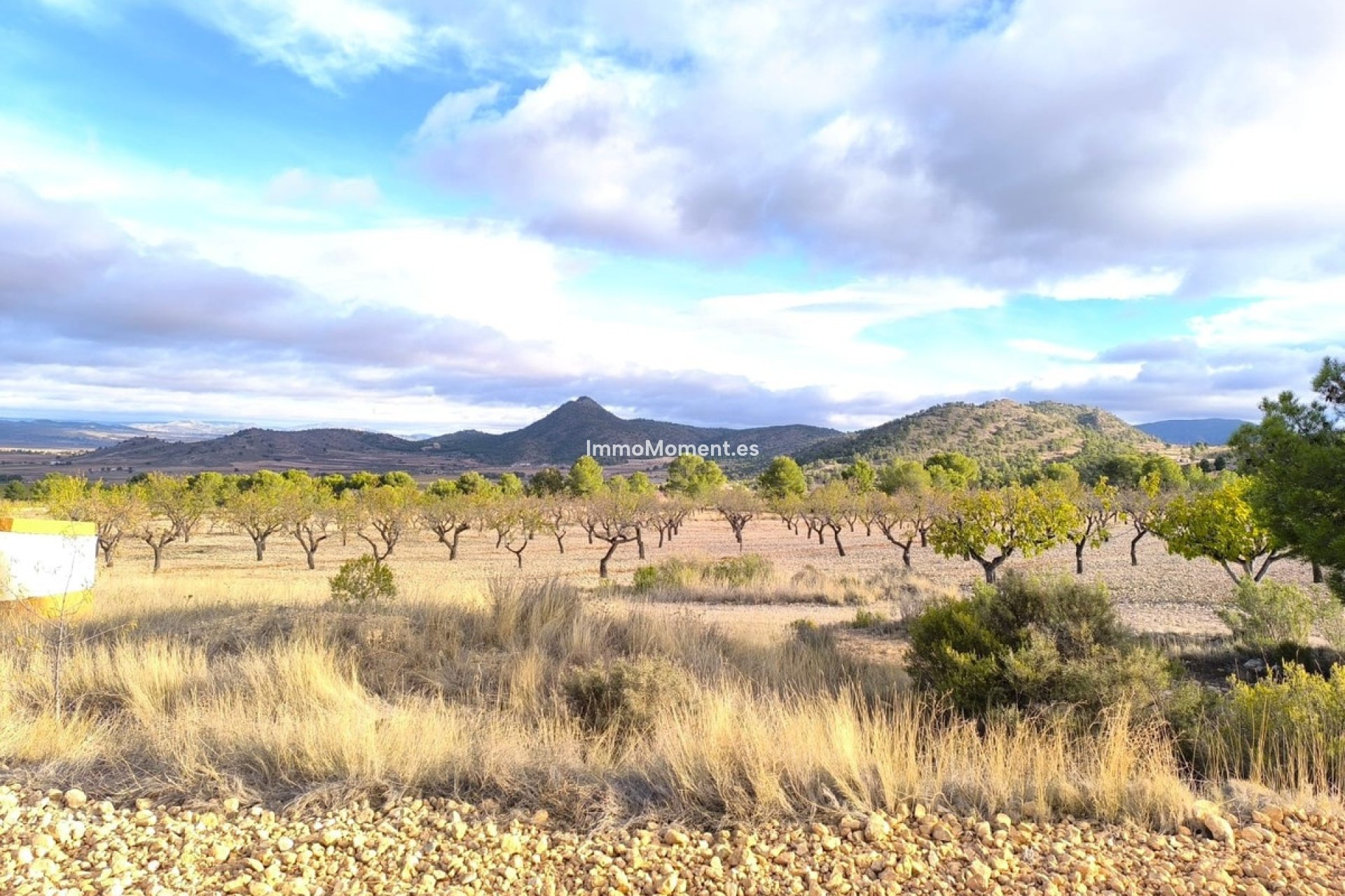 Revente - Maison de campagne - Yecla - Yecla Centro
