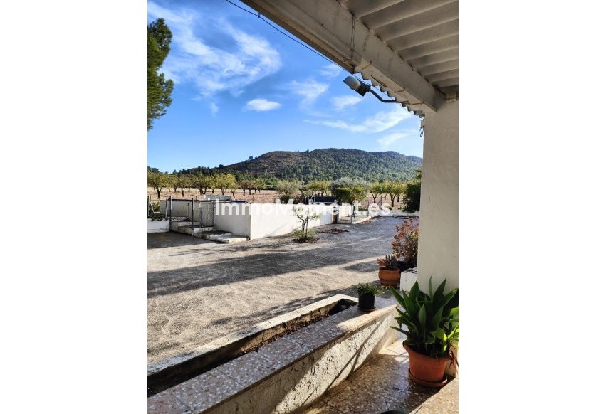 Revente - Maison de campagne - Yecla - Yecla Centro