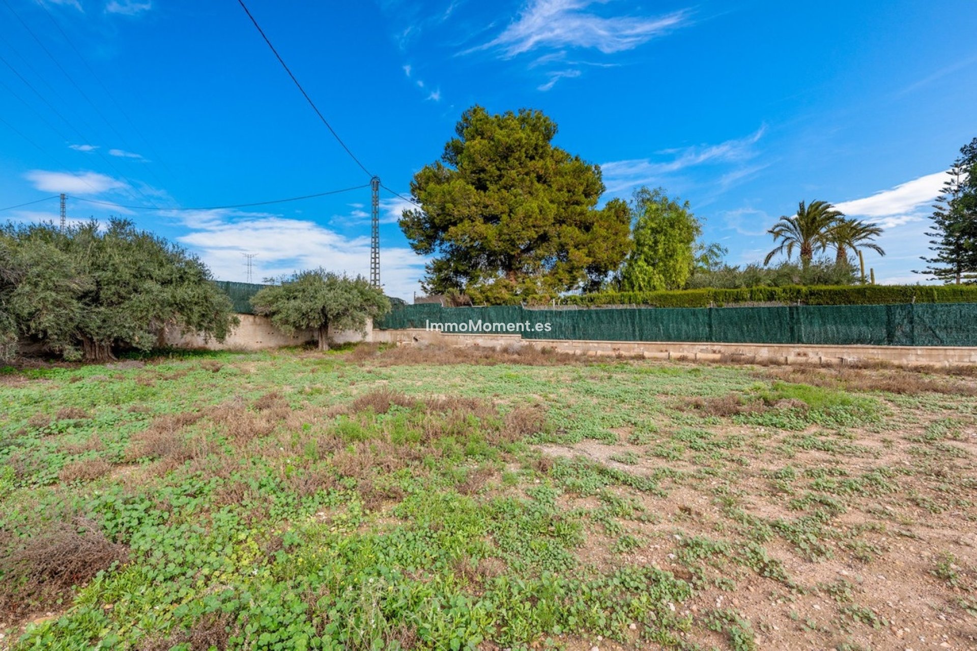 Revente - Maison mitoyenne - Elche - Elche Centro