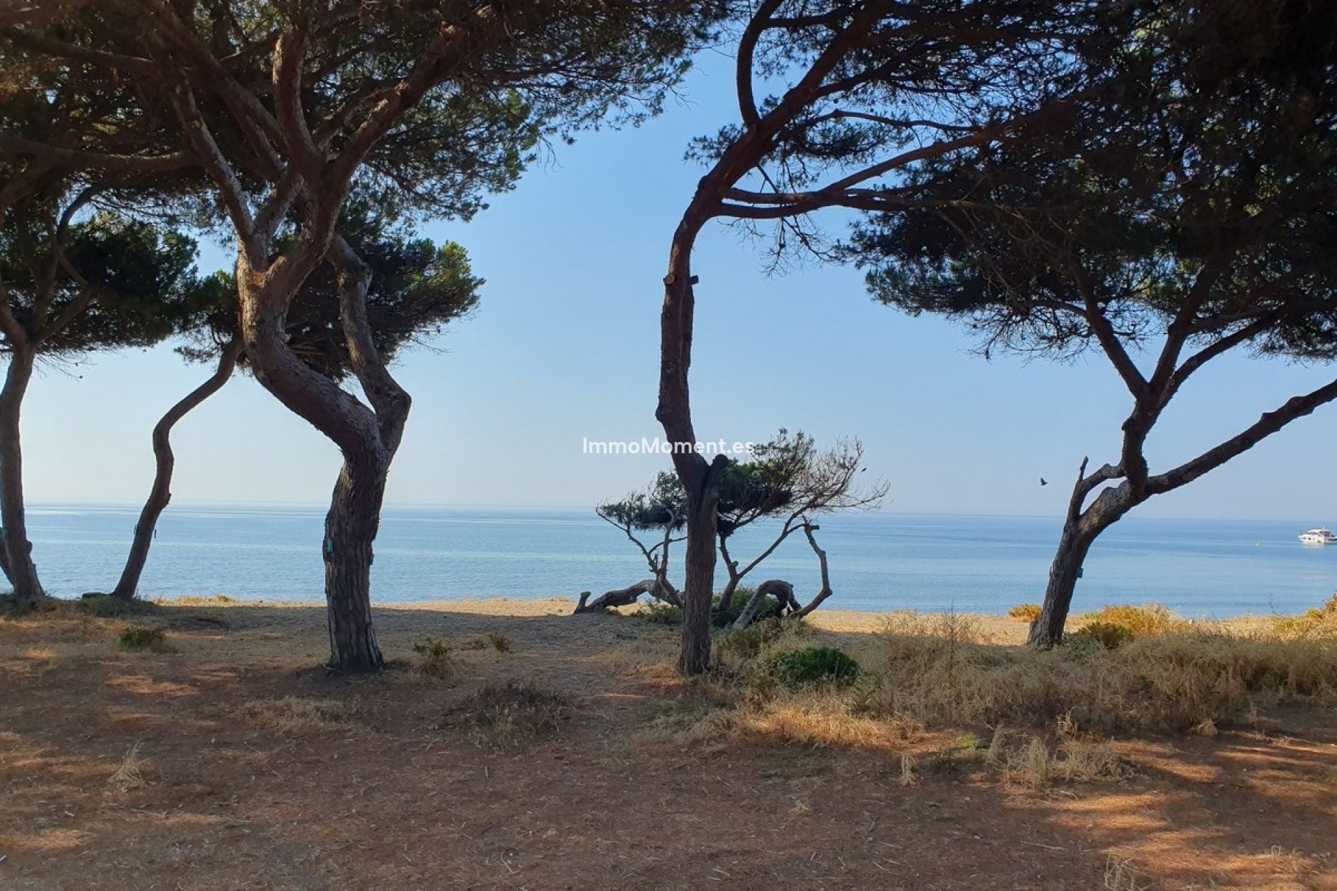 Revente - Maison mitoyenne - Estepona  - El Presidente