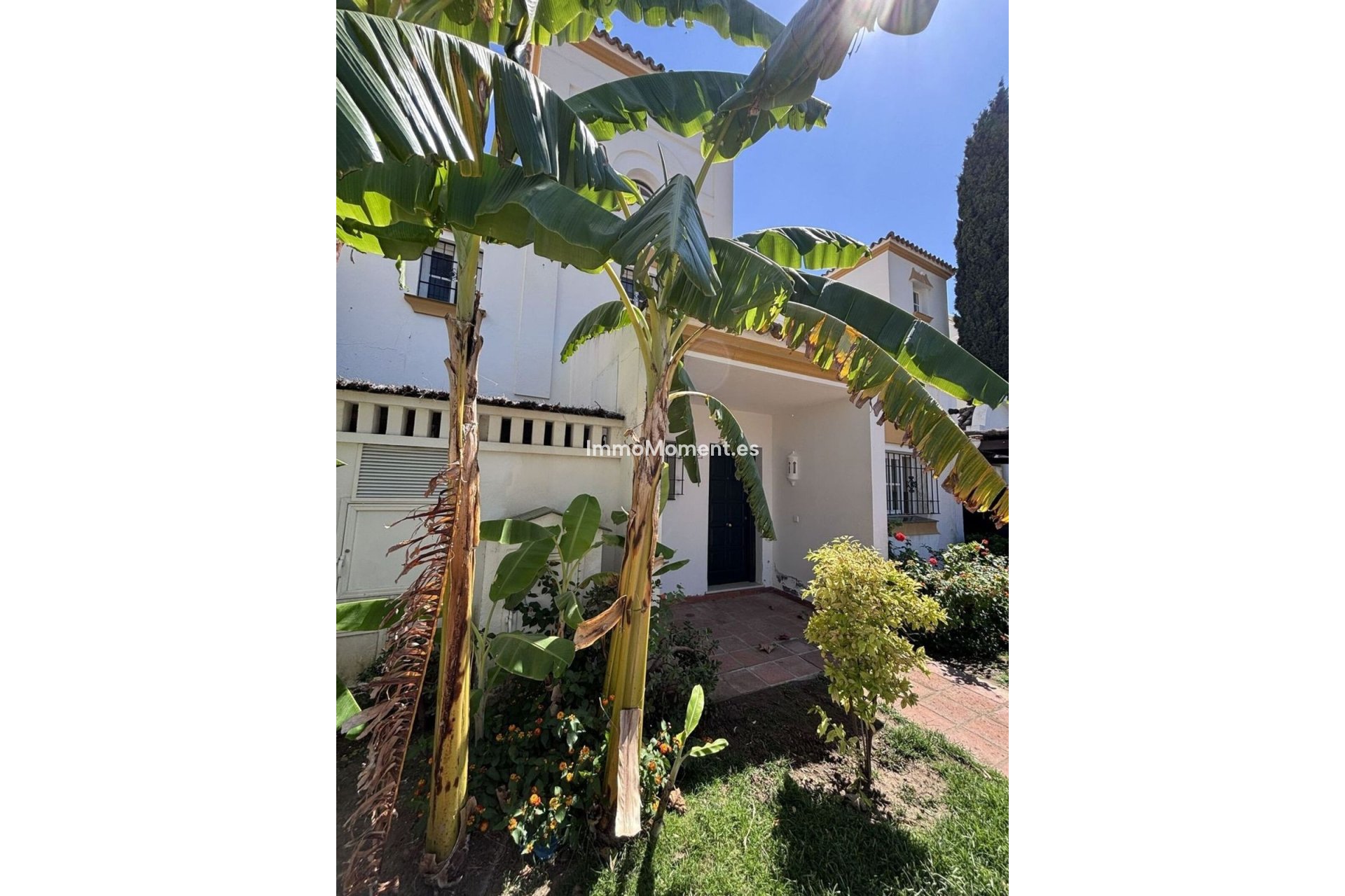 Revente - Maison mitoyenne - Estepona  - Estepona Centro