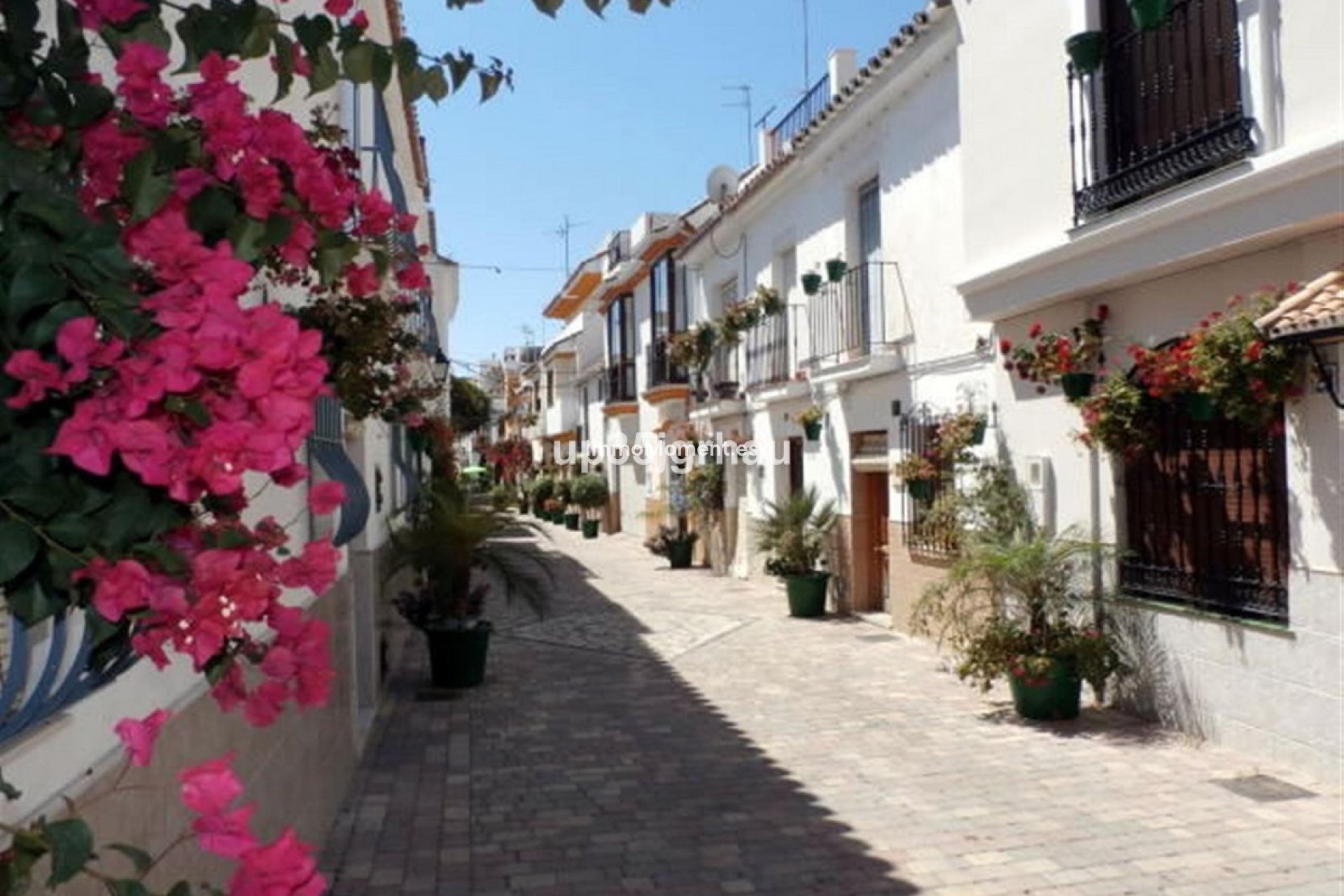Revente - Maison mitoyenne - Estepona  - Estepona Centro