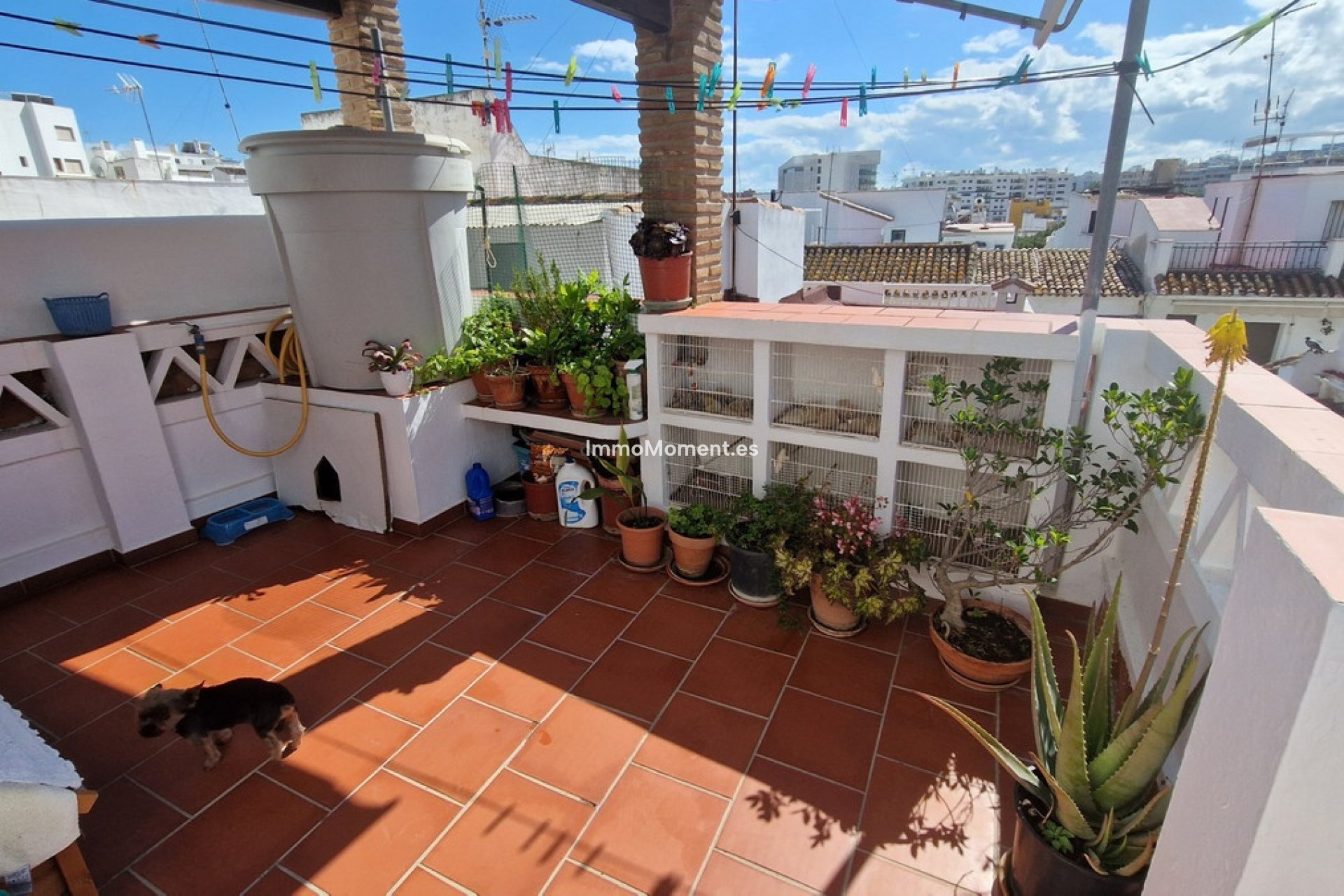 Revente - Maison mitoyenne - Estepona  - Estepona Centro