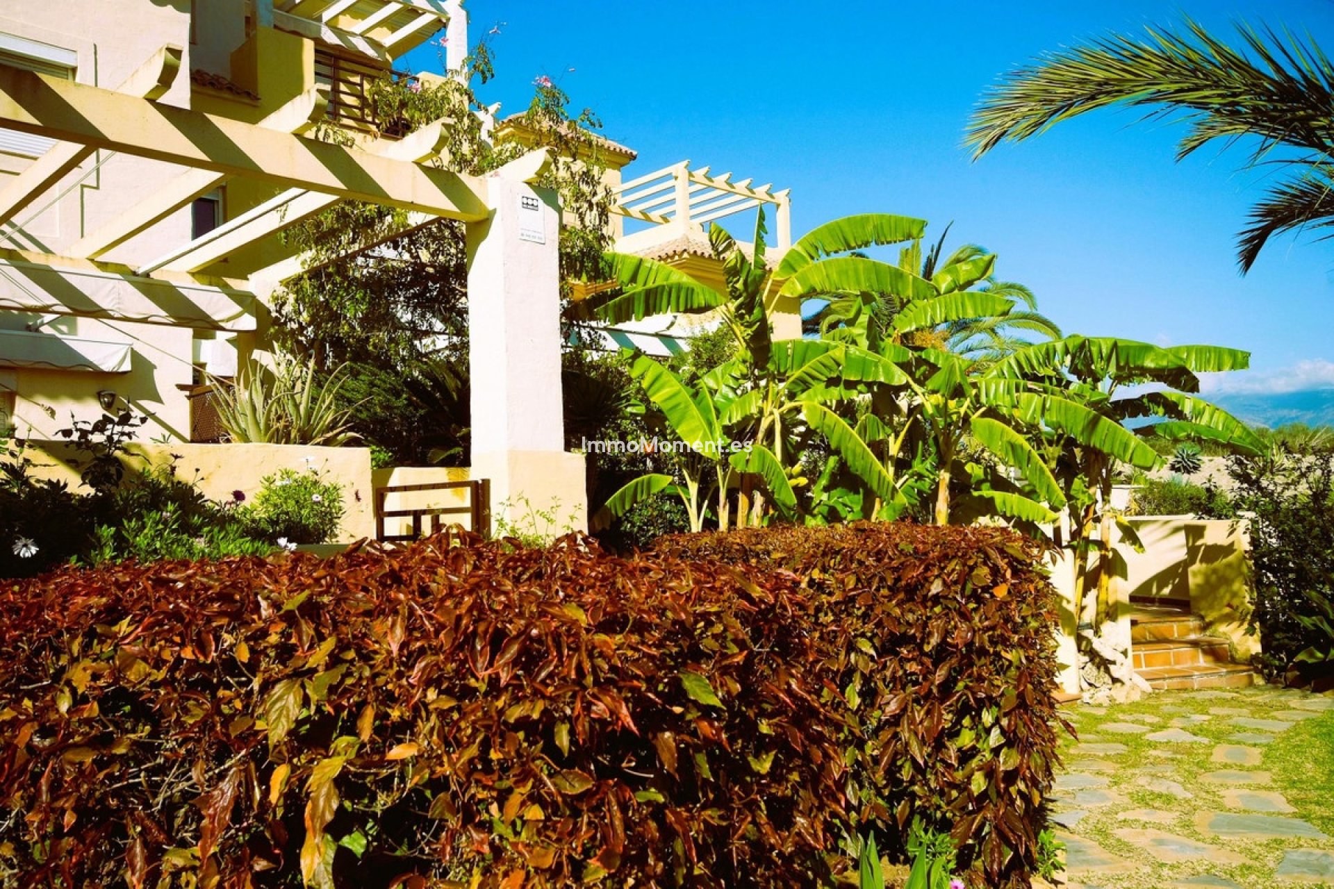 Revente - Maison mitoyenne - Estepona  - Estepona Centro