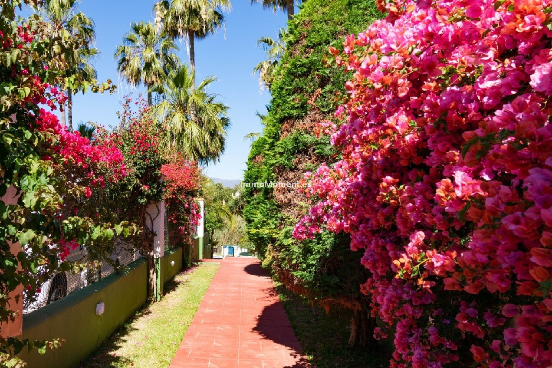Revente - Maison mitoyenne - Estepona  - Estepona Centro