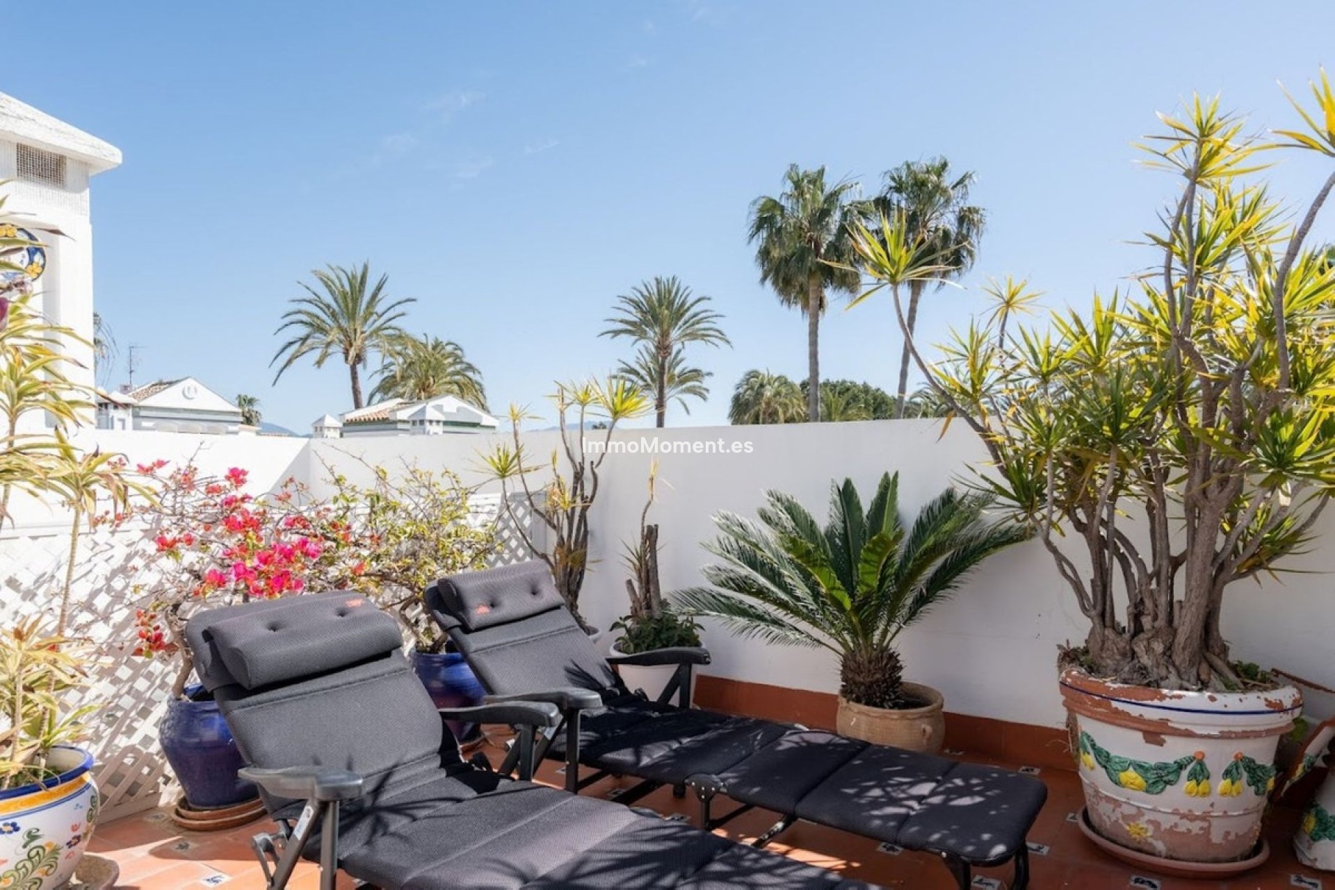 Revente - Maison mitoyenne - Estepona  - New Golden Mile
