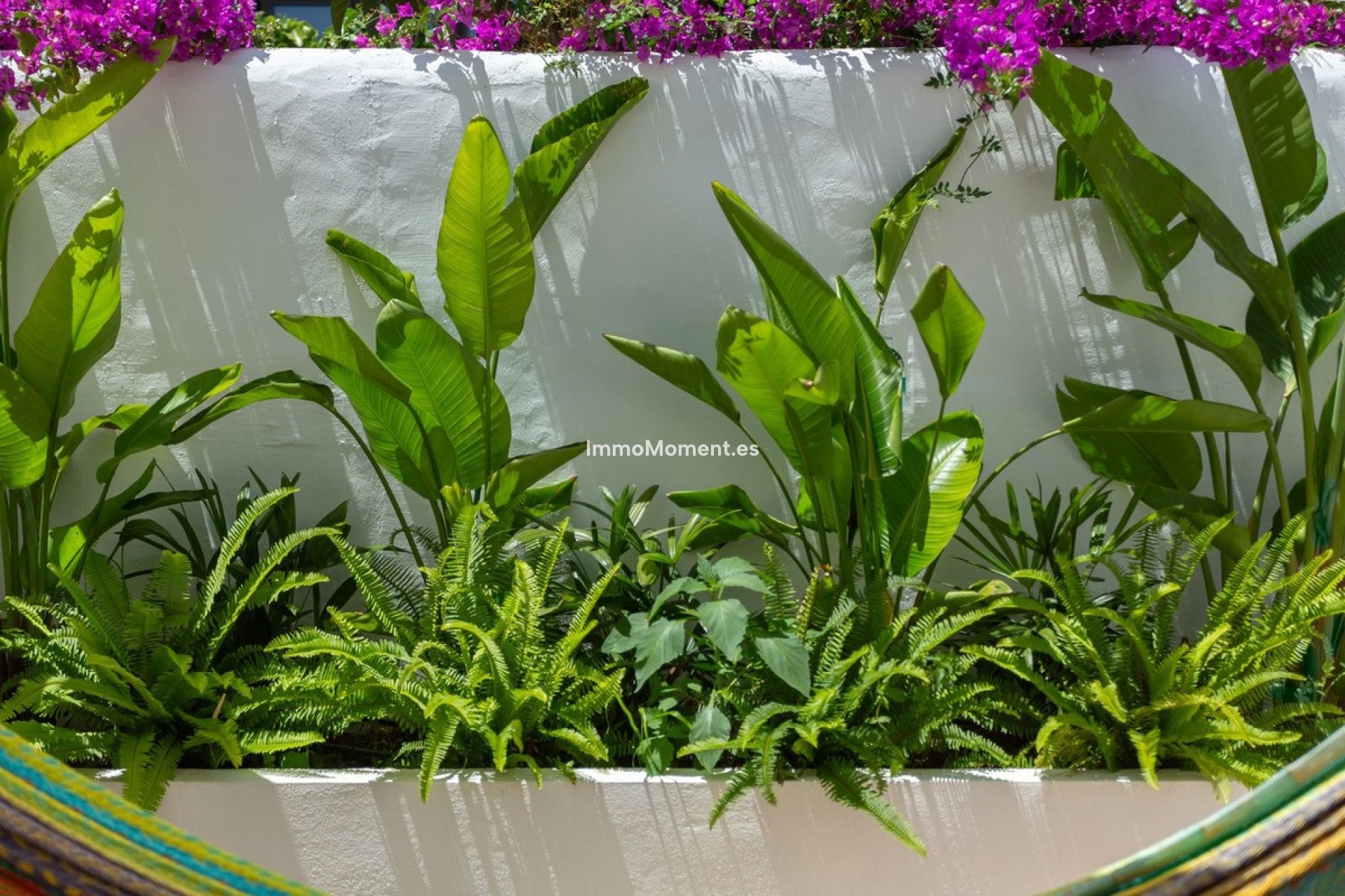 Revente - Maison mitoyenne - Estepona  - New Golden Mile