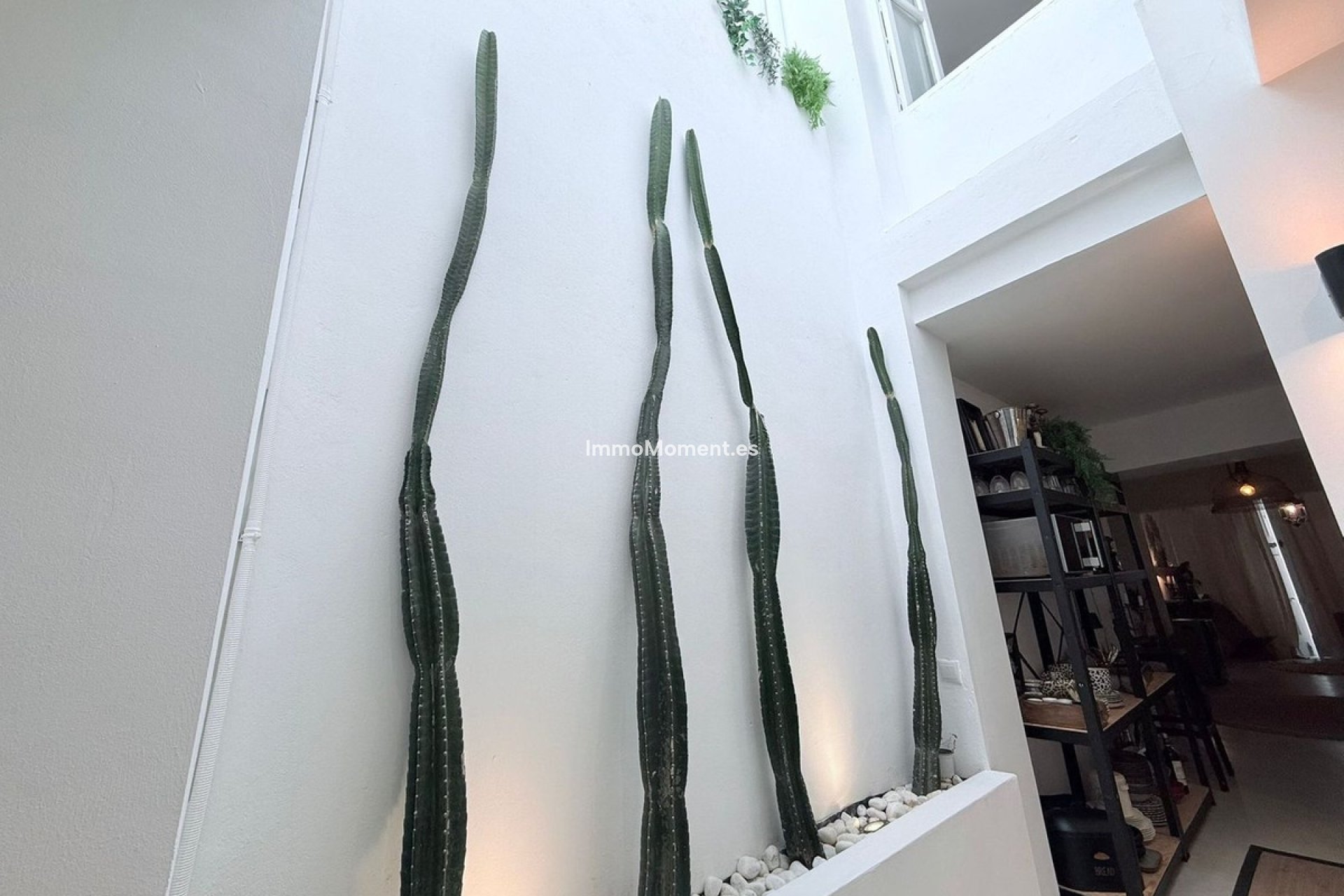 Revente - Maison mitoyenne - Intérieur                       - Coín