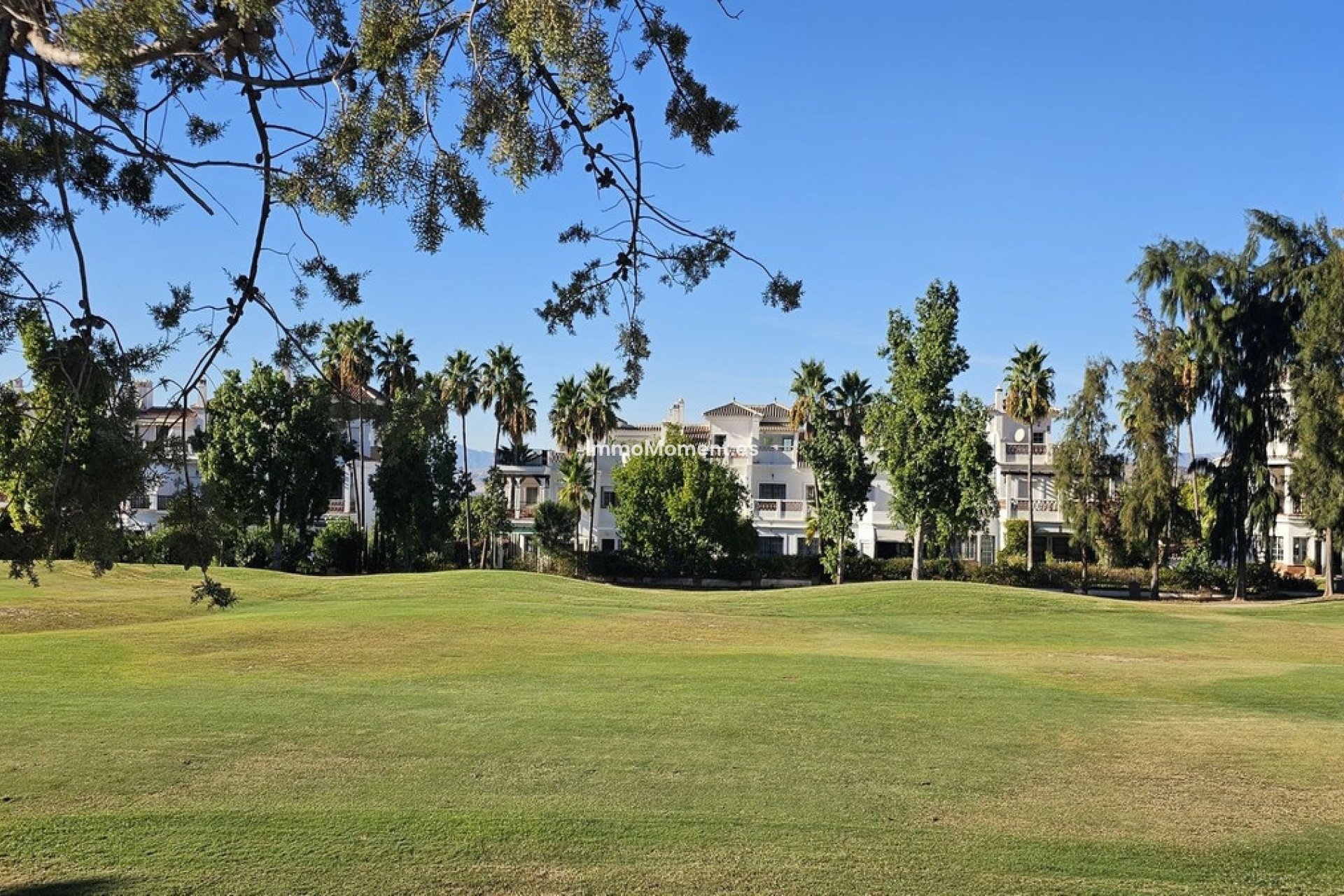 Revente - Maison mitoyenne - Intérieur                       - Lauro Golf
