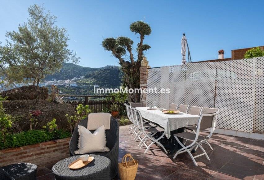 Revente - Maison mitoyenne - Intérieur                       - Monda