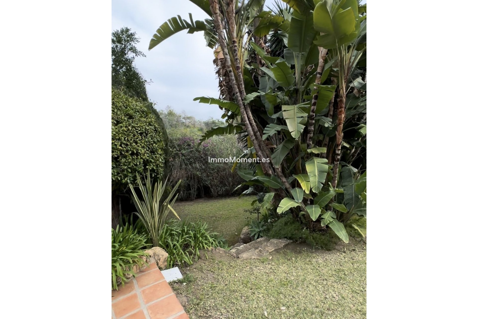 Revente - Maison mitoyenne - Marbella - Marbella Centro