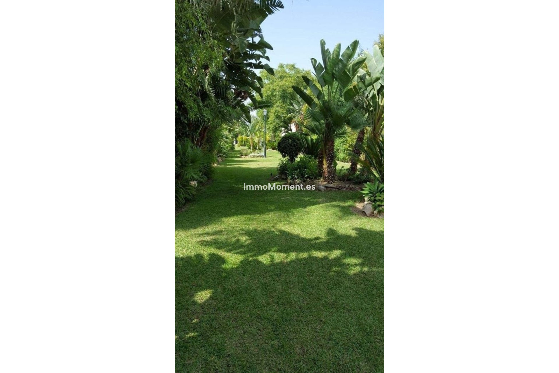 Revente - Maison mitoyenne - Marbella - Marbella Centro