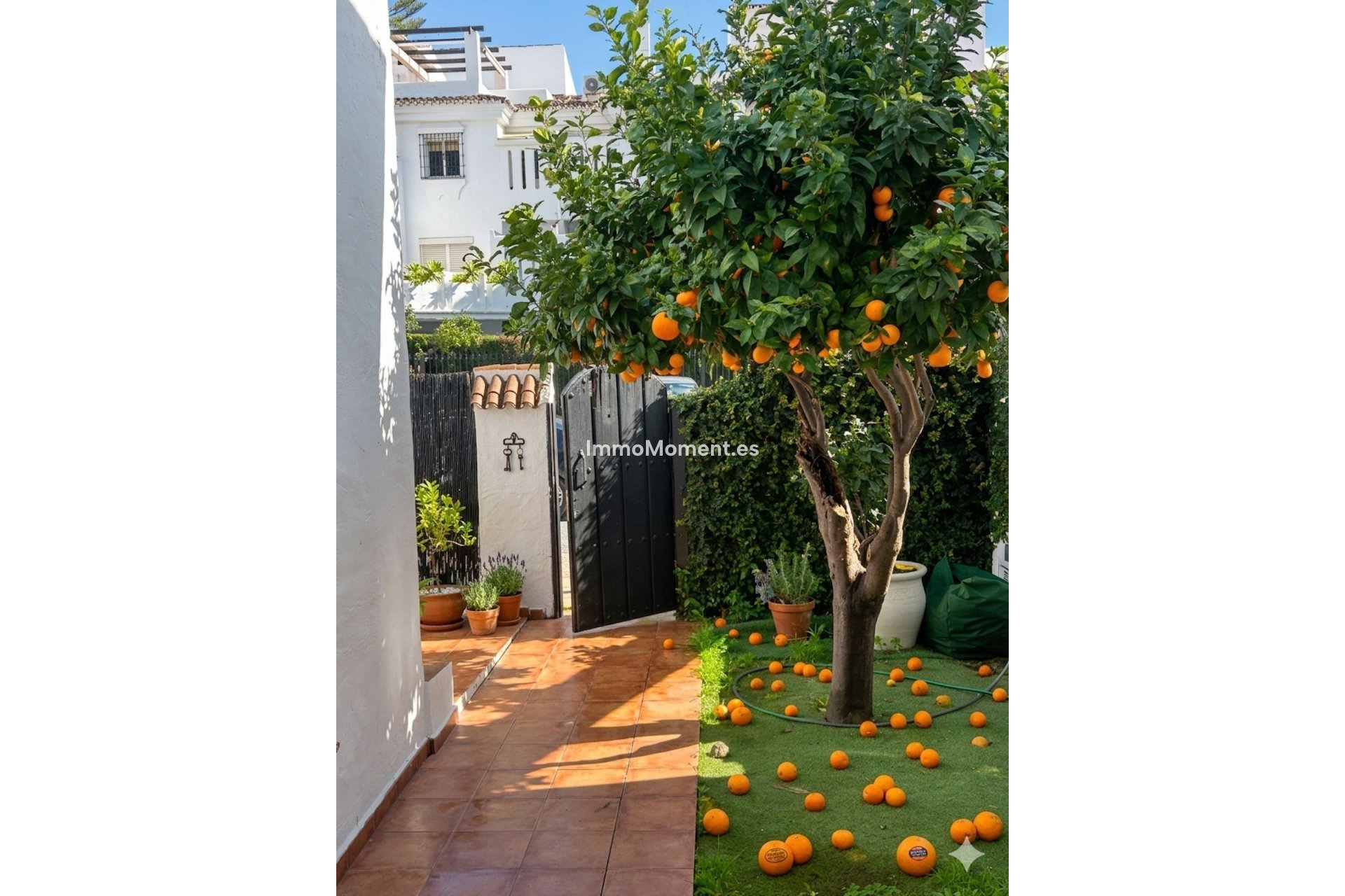 Revente - Maison mitoyenne - Marbella - Nueva Andalucía