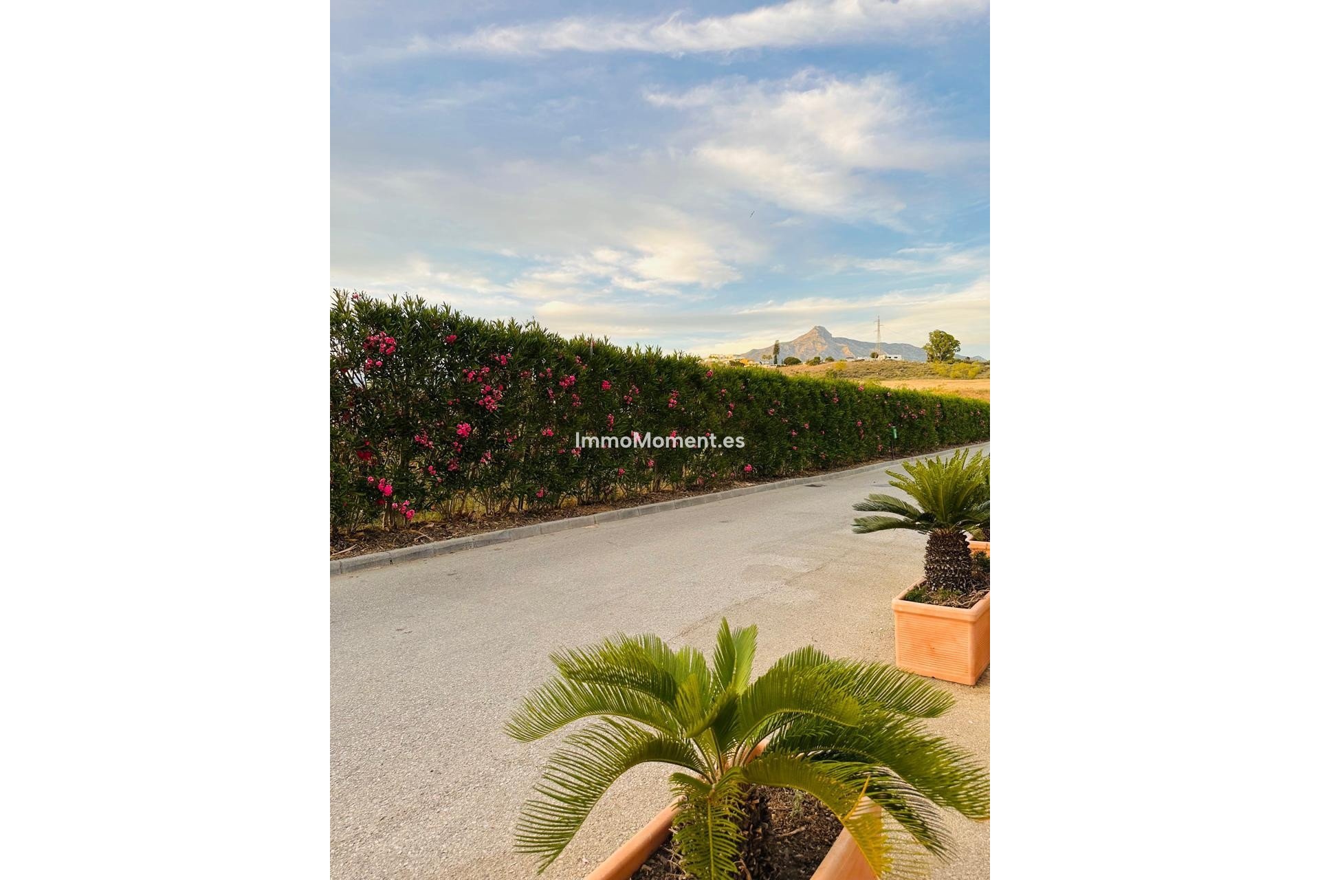 Revente - Maison mitoyenne - Marbella - Nueva Andalucía