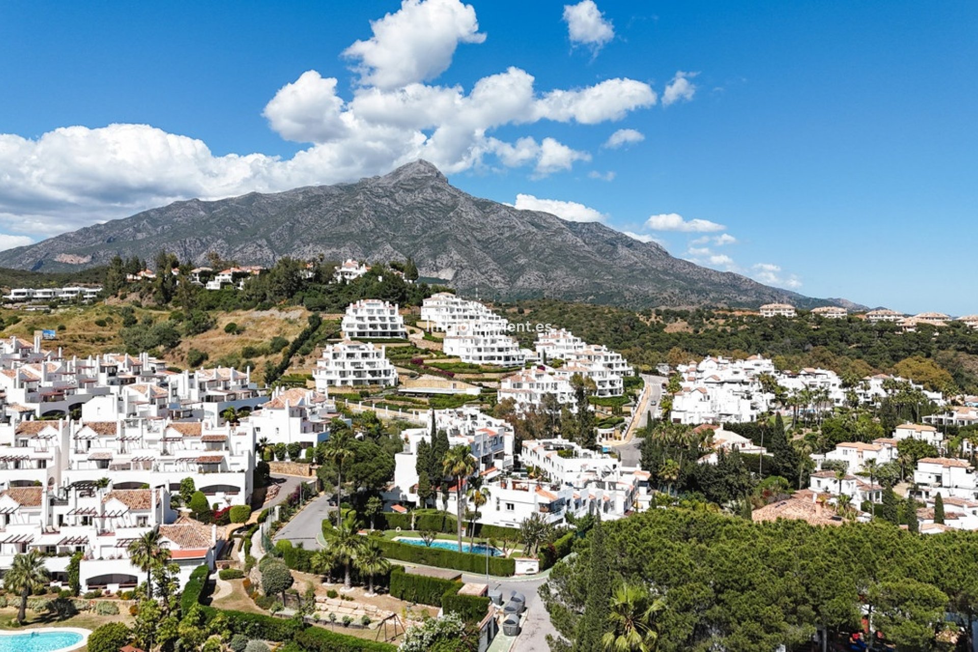 Revente - Maison mitoyenne - Marbella - Nueva Andalucía