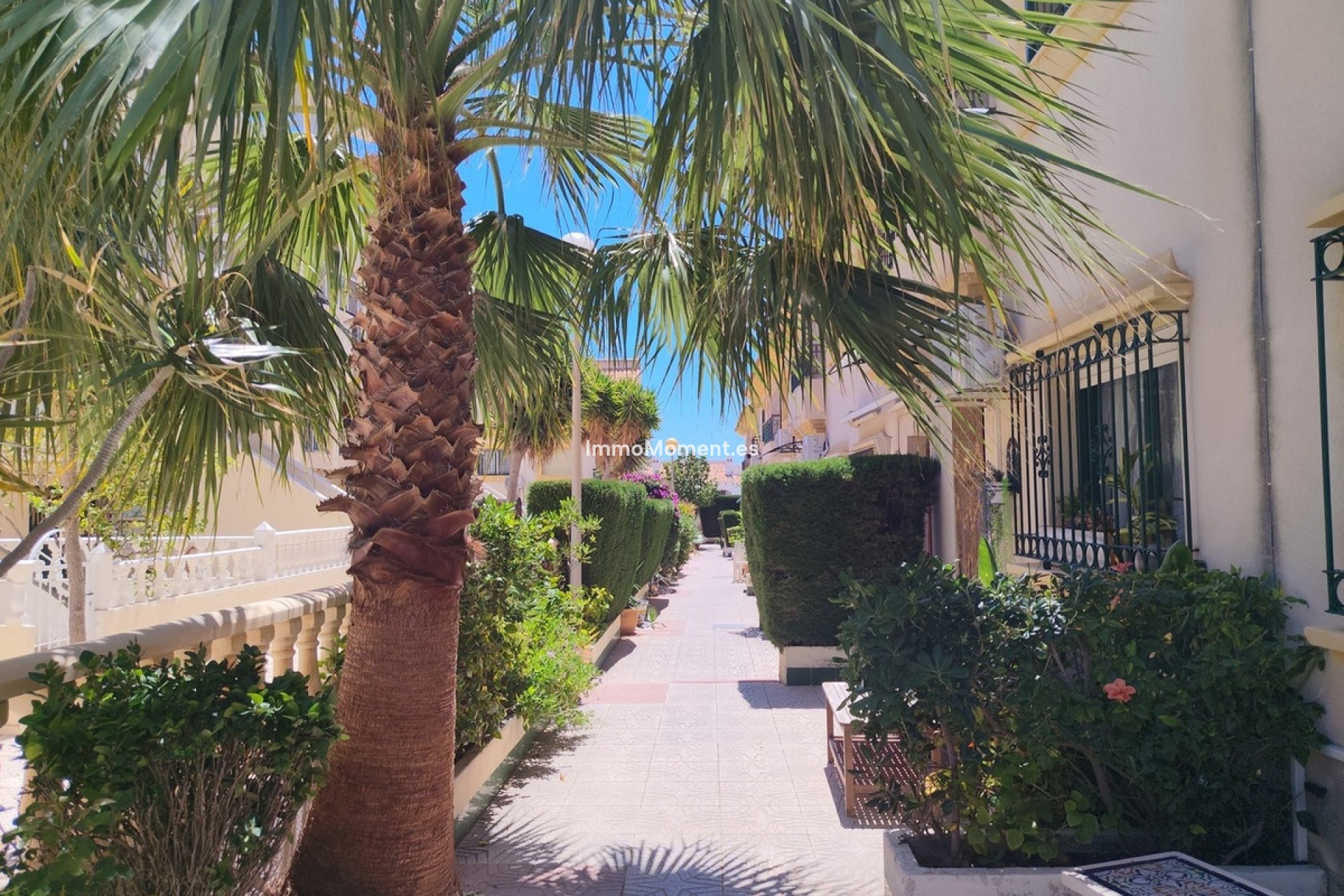 Revente - Maison mitoyenne - Orihuela - Cabo roig - La Zenia