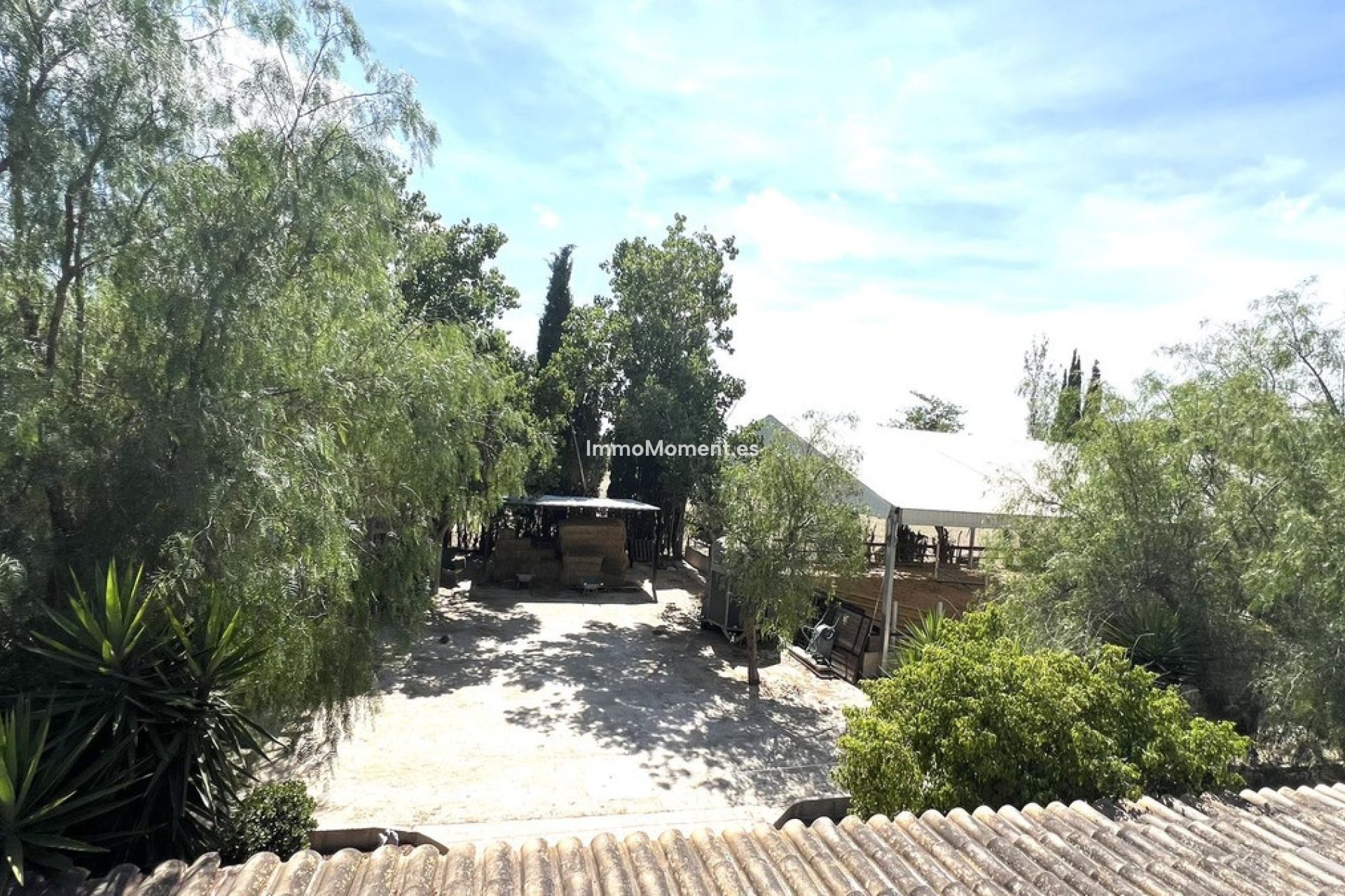 Revente - Maison mitoyenne - Orihuela - Orihuela Centro