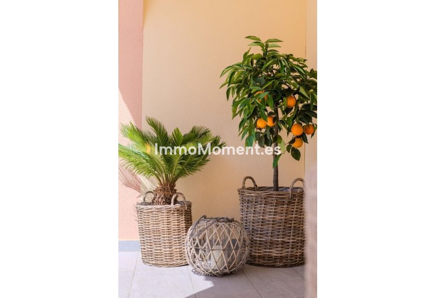 Revente - Maison mitoyenne - Orihuela - Orihuela Costa