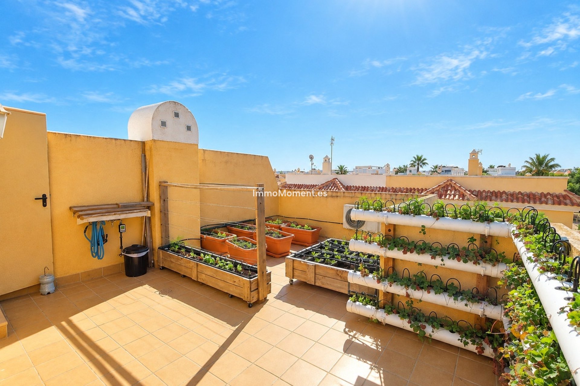 Revente - Maison mitoyenne - Rojales - Ciudad Quesada