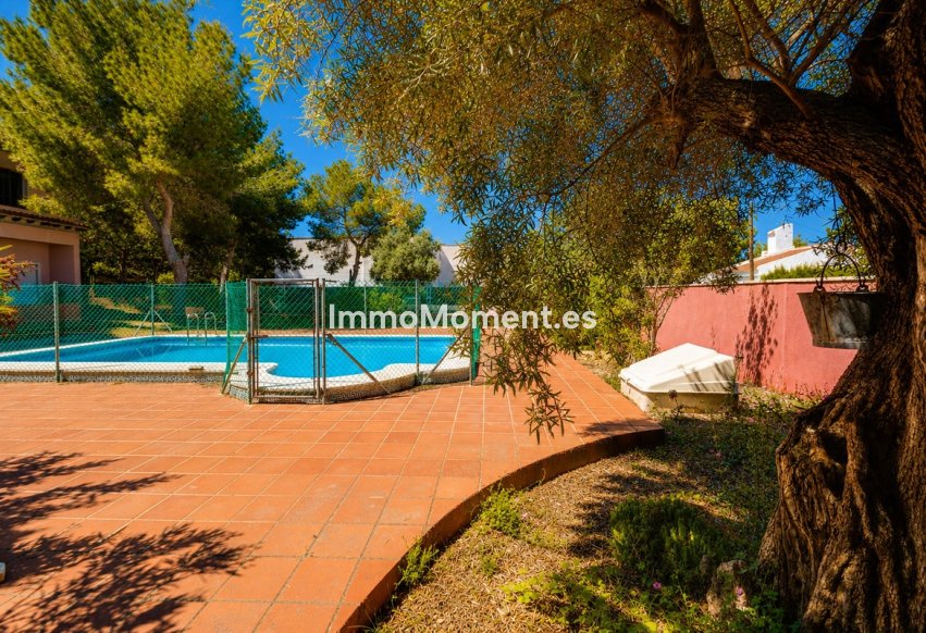 Revente - Maison mitoyenne - San Miguel de Salinas - San Miguel de Salinas Centro
