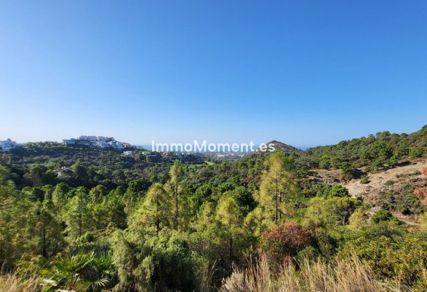 Revente - Parcelle - Benahavís - Benahavís Centro