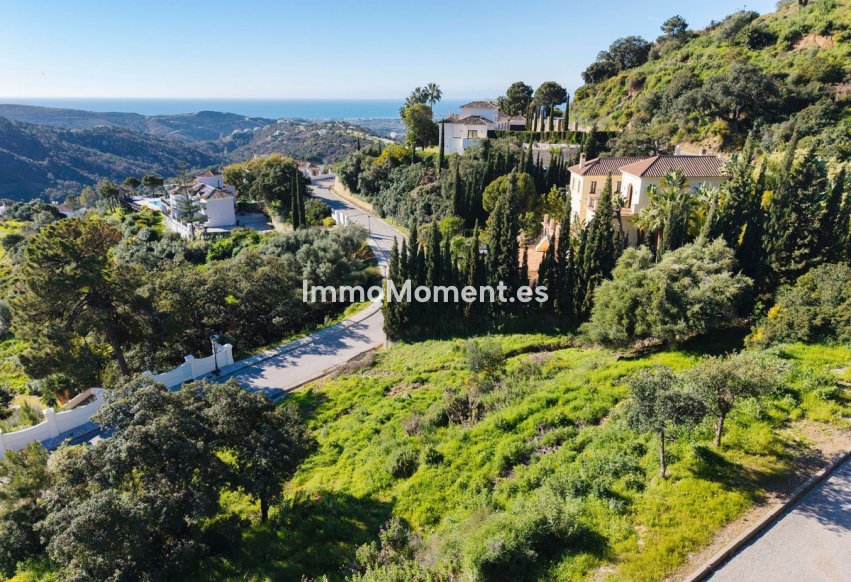 Revente - Parcelle - Benahavís - Benahavís Centro