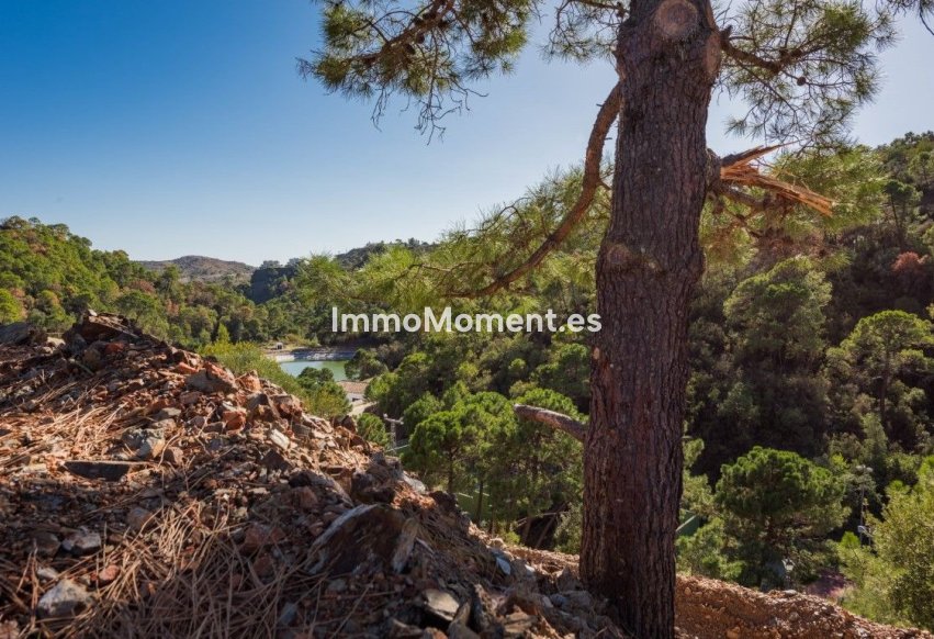 Revente - Parcelle - Benahavís - Benahavís Centro