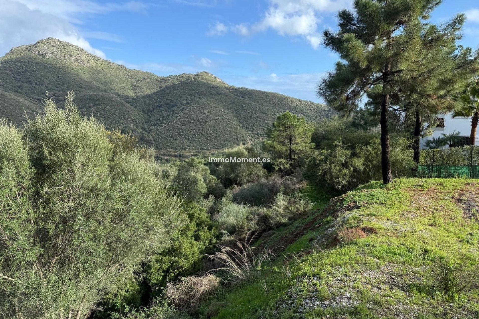 Revente - Parcelle - Benahavís - Benahavís Centro