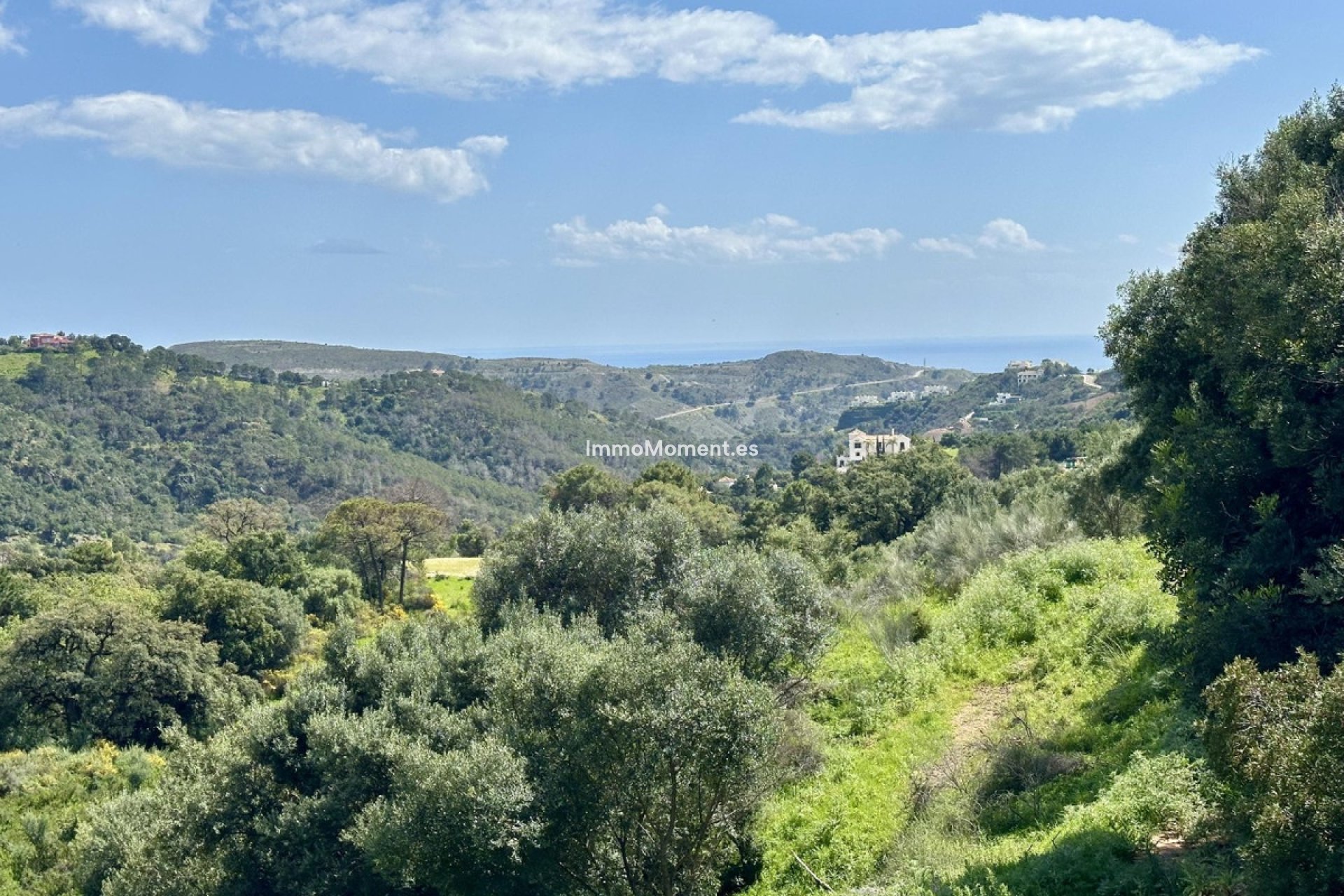 Revente - Parcelle - Benahavís - Benahavís Centro