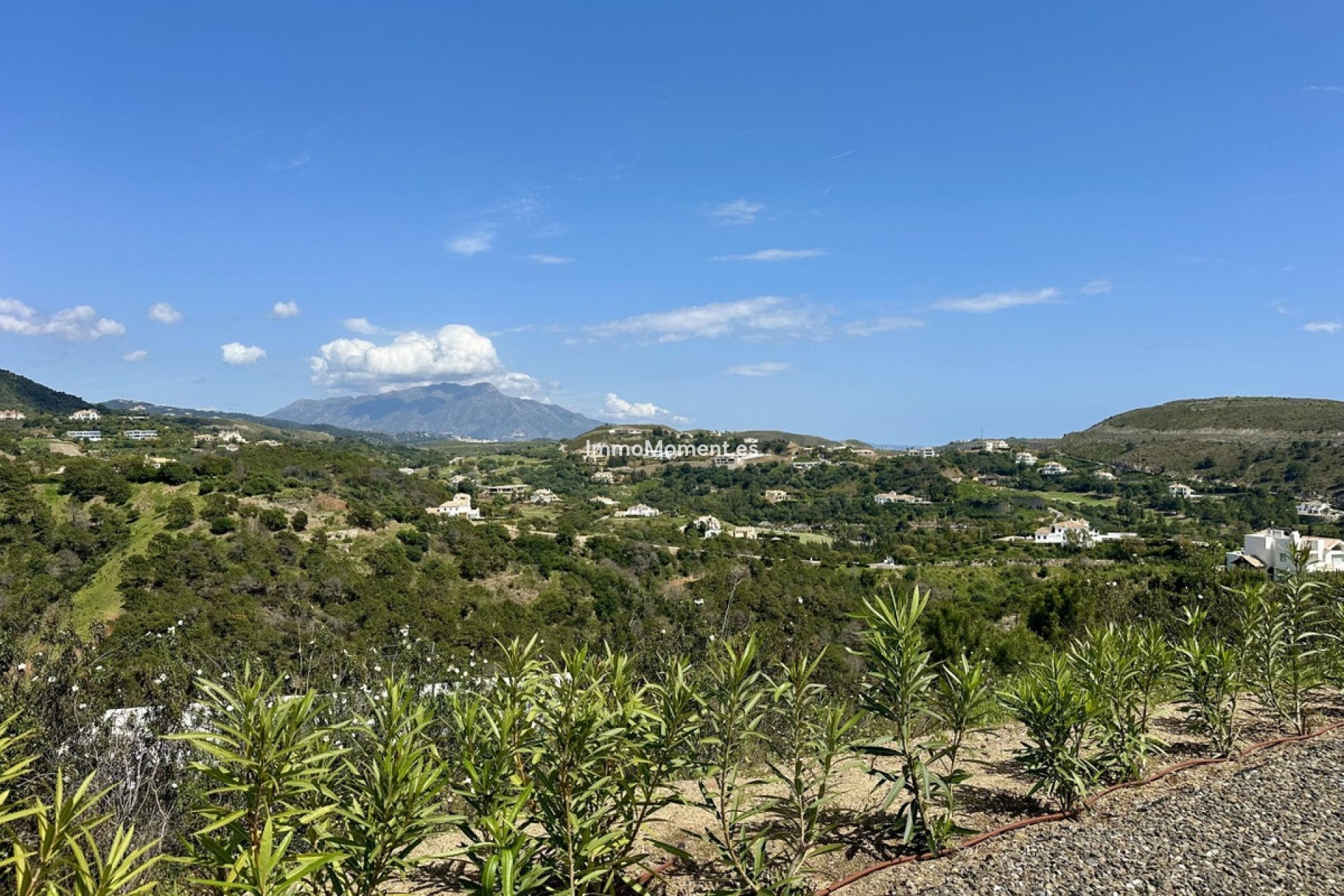 Revente - Parcelle - Benahavís - Benahavís Centro