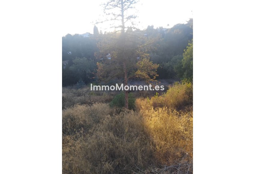 Revente - Parcelle - Benahavís - La Quinta