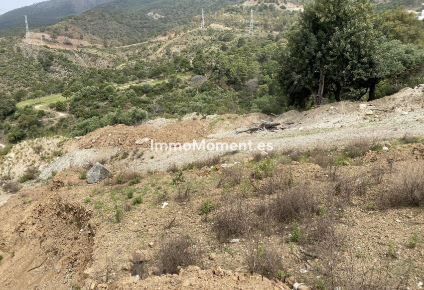 Revente - Parcelle - Benahavís - La Zagaleta