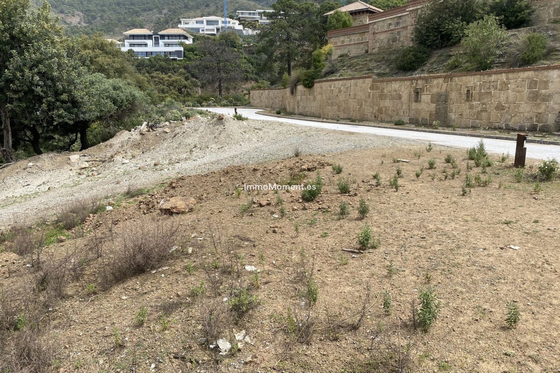 Revente - Parcelle - Benahavís - La Zagaleta