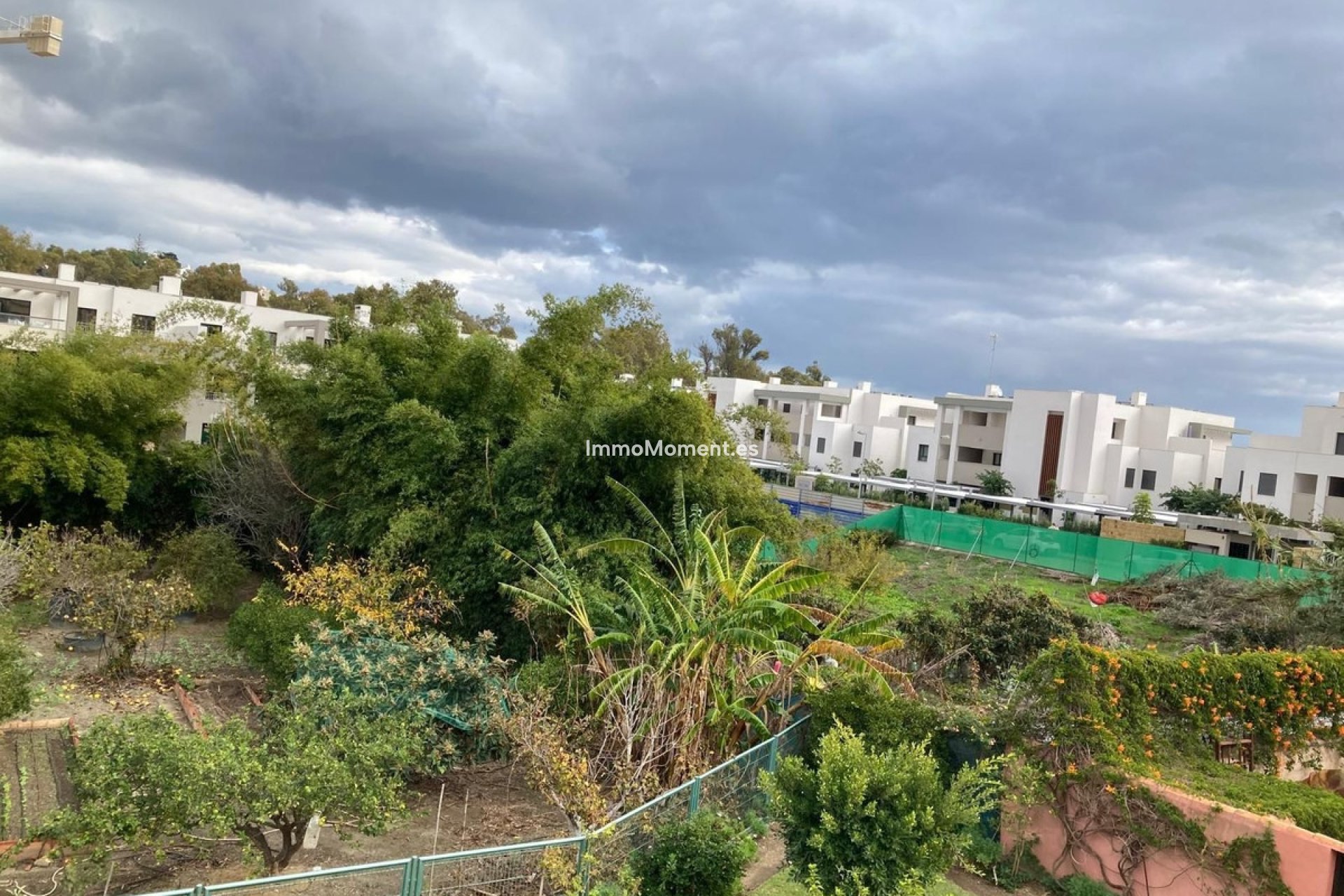 Revente - Parcelle - Casares - Casares Centro