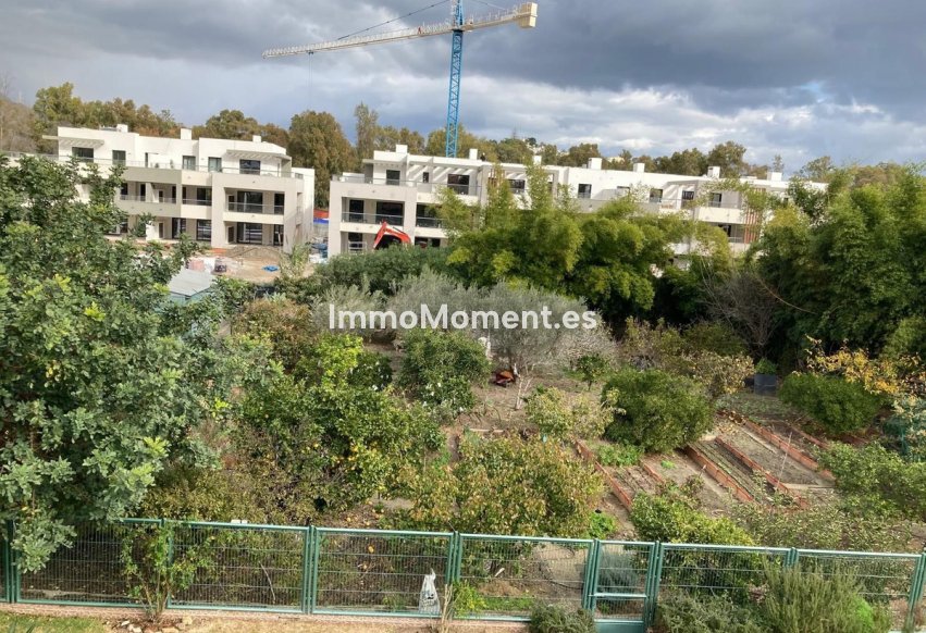 Revente - Parcelle - Casares - Casares Centro