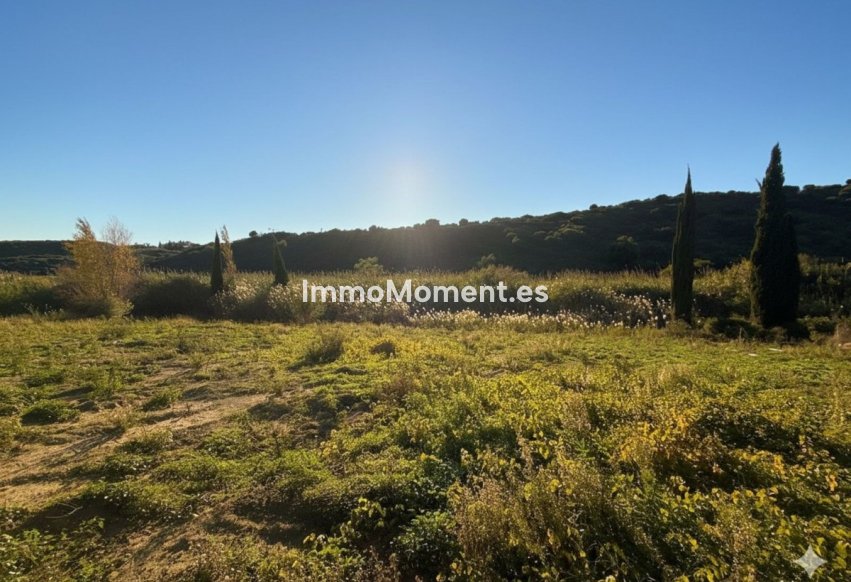 Revente - Parcelle - Casares - Casares Playa