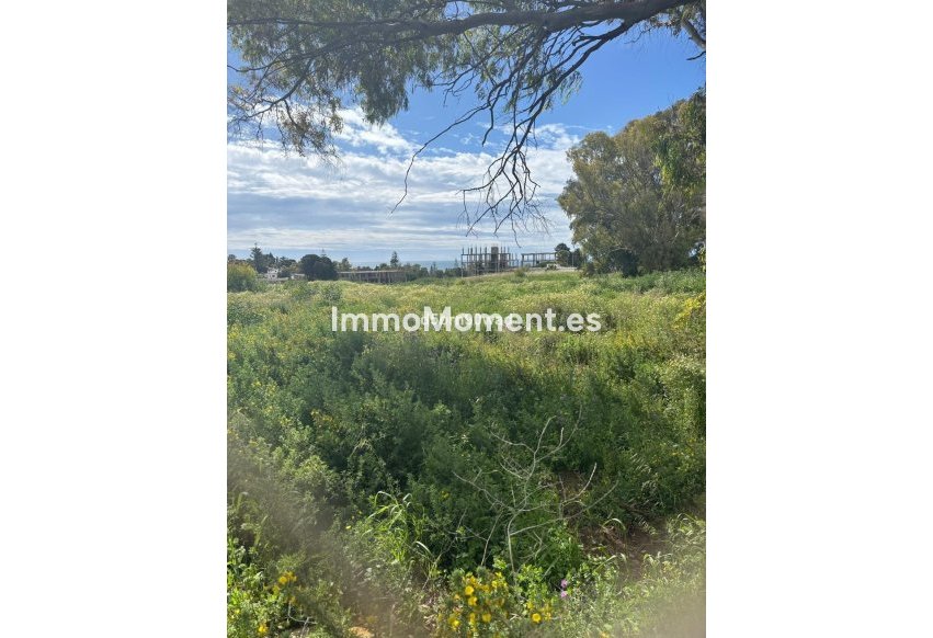 Revente - Parcelle - Estepona  - Estepona Centro
