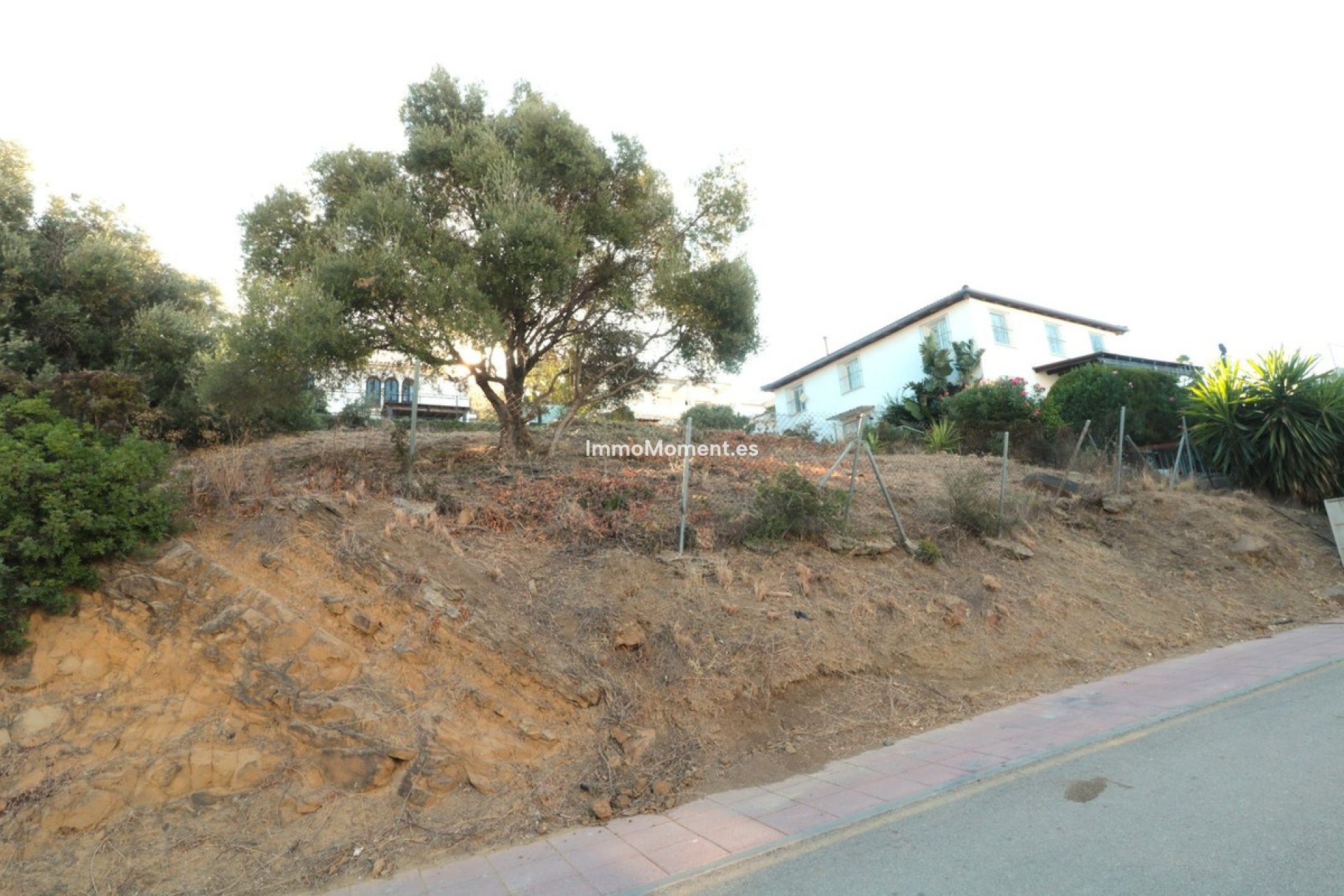 Revente - Parcelle - Estepona  - Estepona Centro