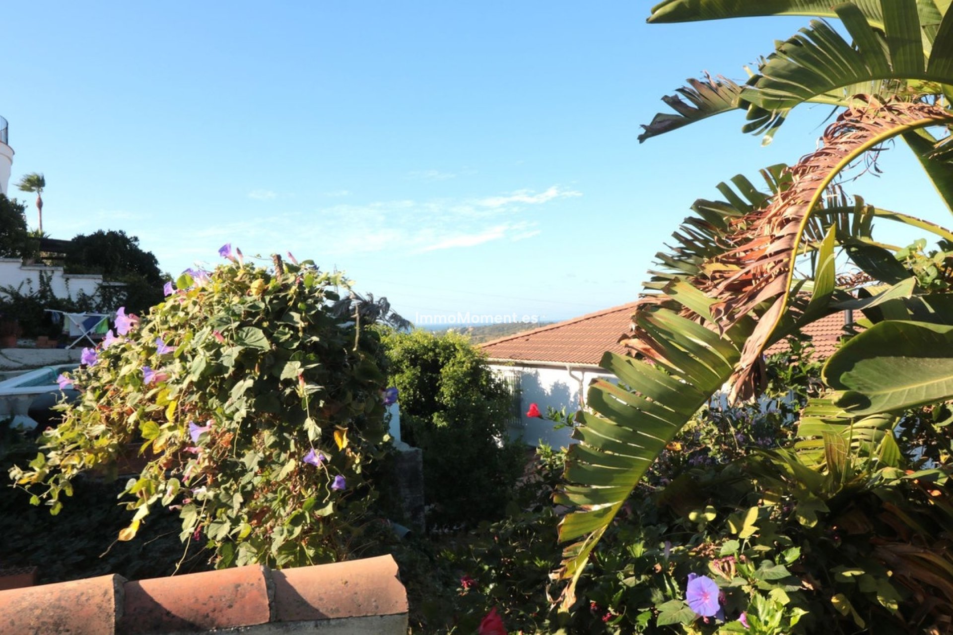 Revente - Parcelle - Estepona  - Estepona Centro